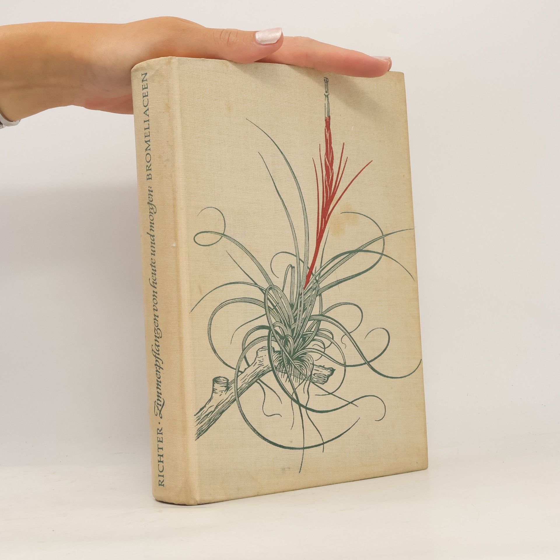 Walter Richter Zimmerpflanzen von Heute und Morgen: Bromeliaceen