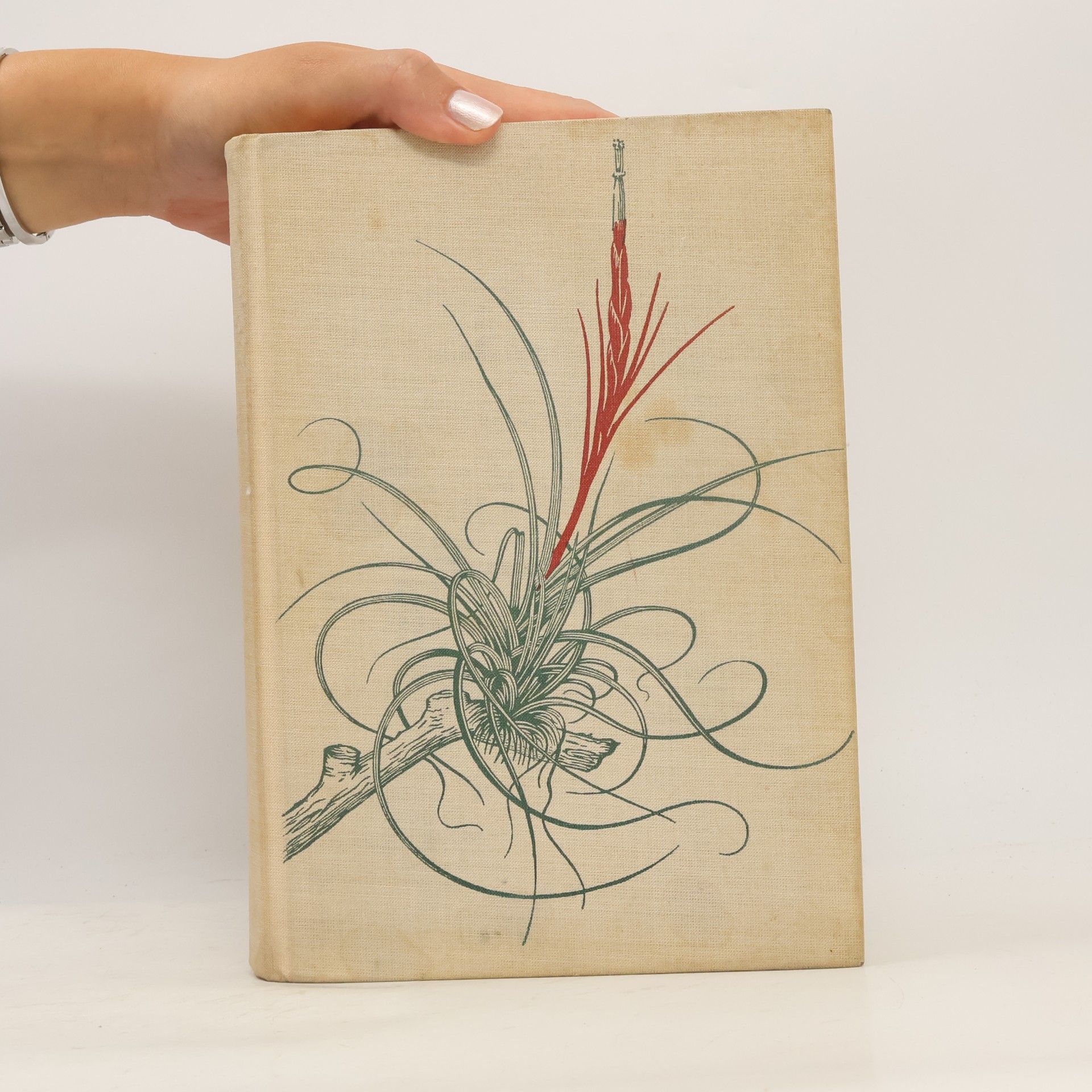 Walter Richter Zimmerpflanzen von Heute und Morgen: Bromeliaceen