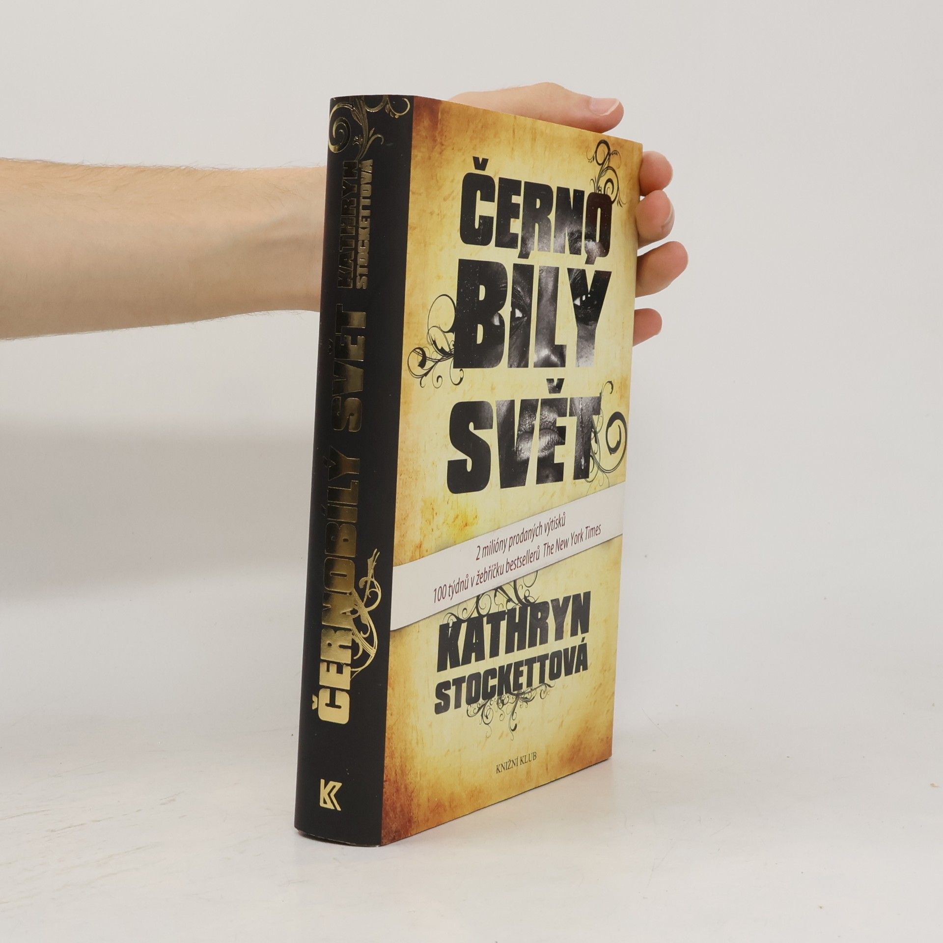 Kathryn Stockett Černobílý svět
