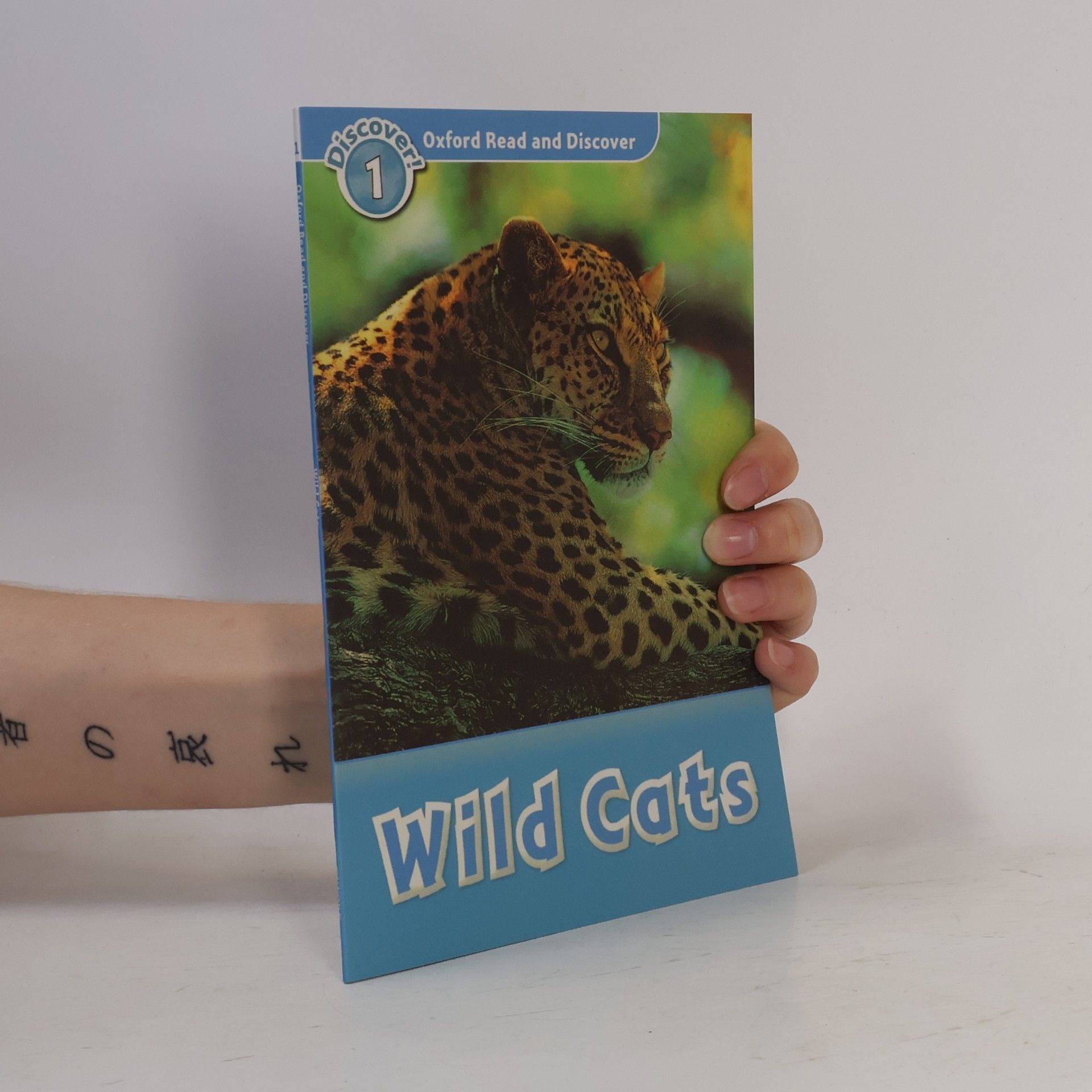 Rob Sved Wild Cats