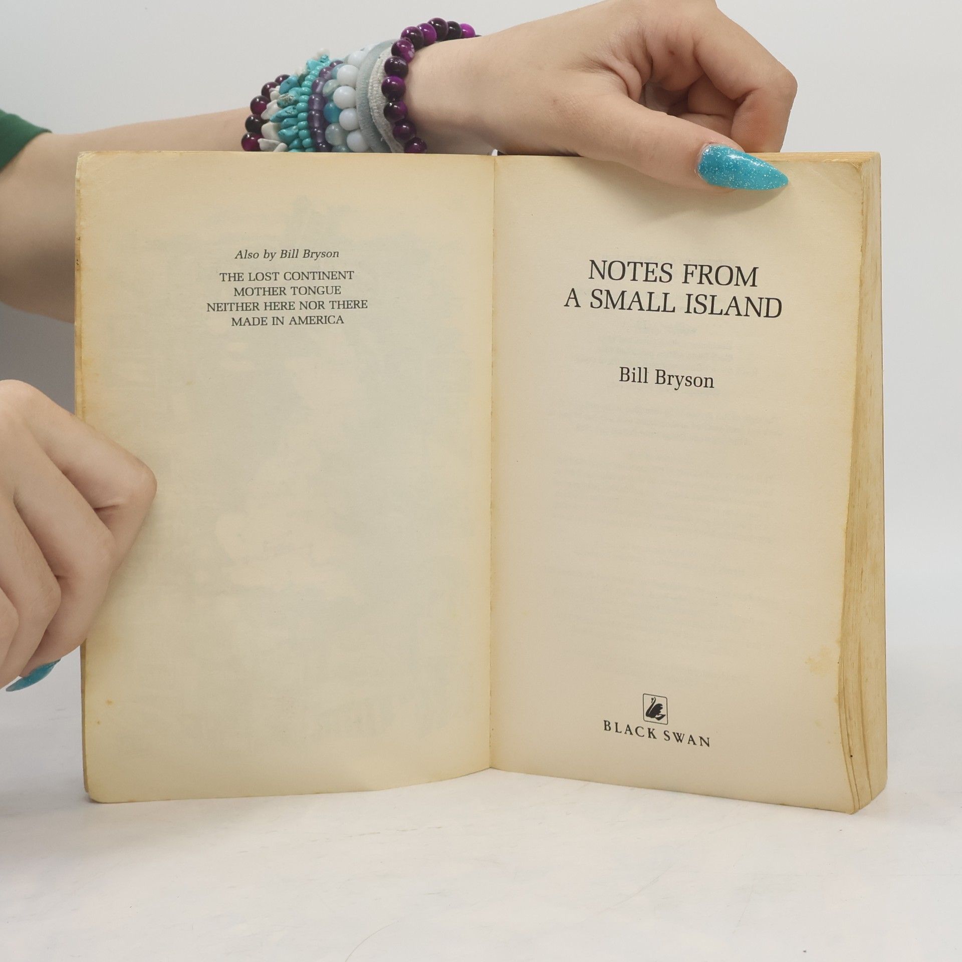 Bill Bryson Notes from a Small Island