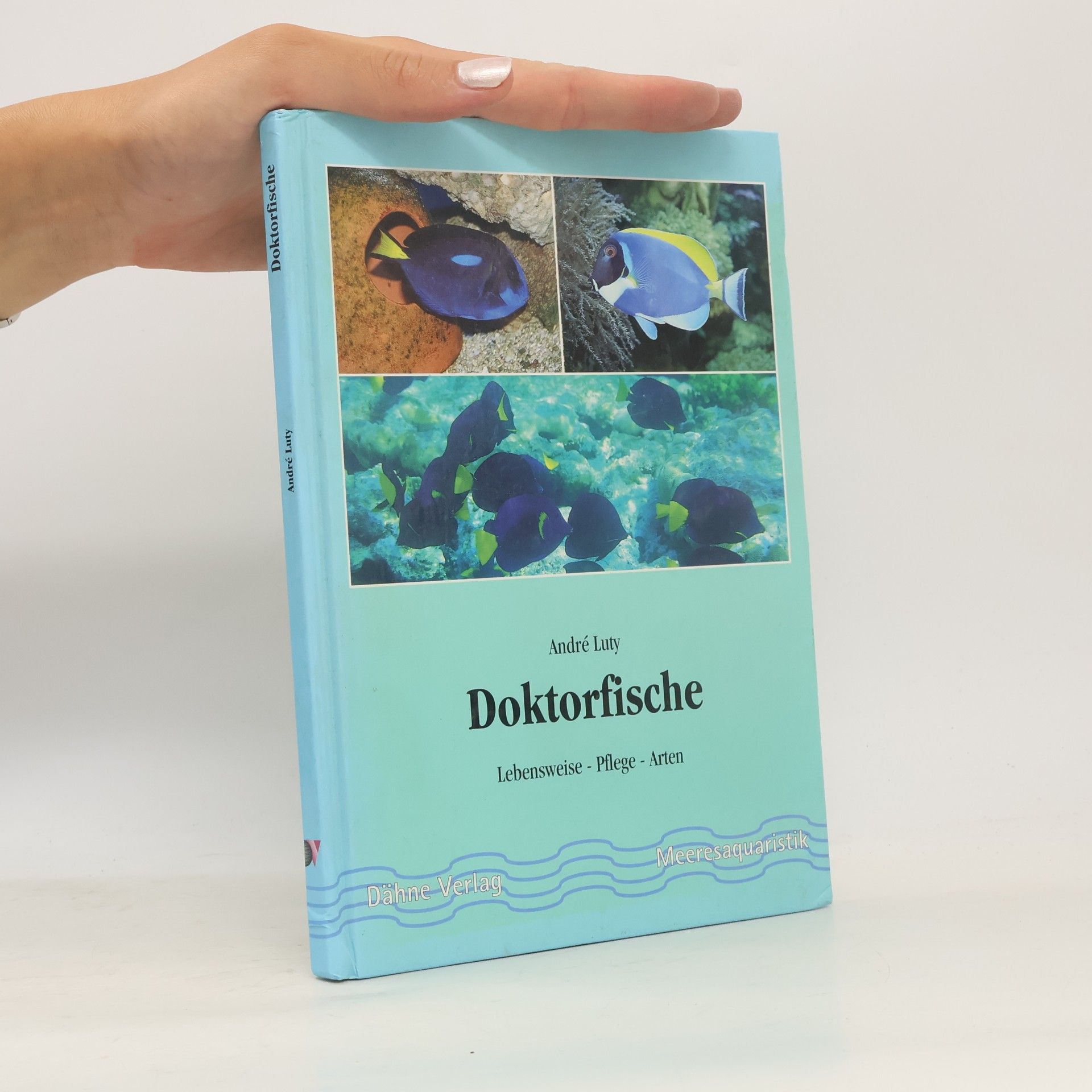 André Luty Doktorfische
