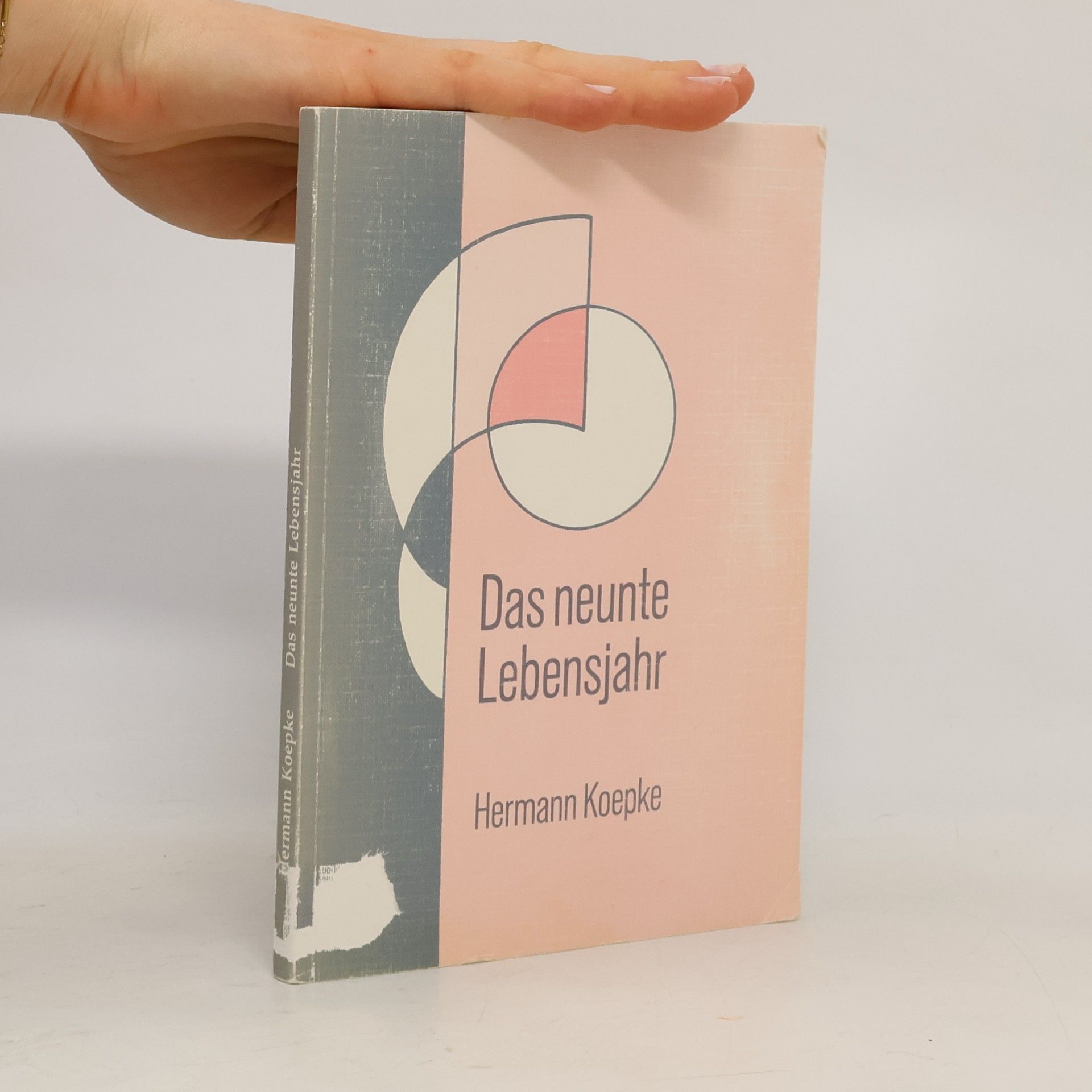Hermann Koepke Das neunte Lebensjahr