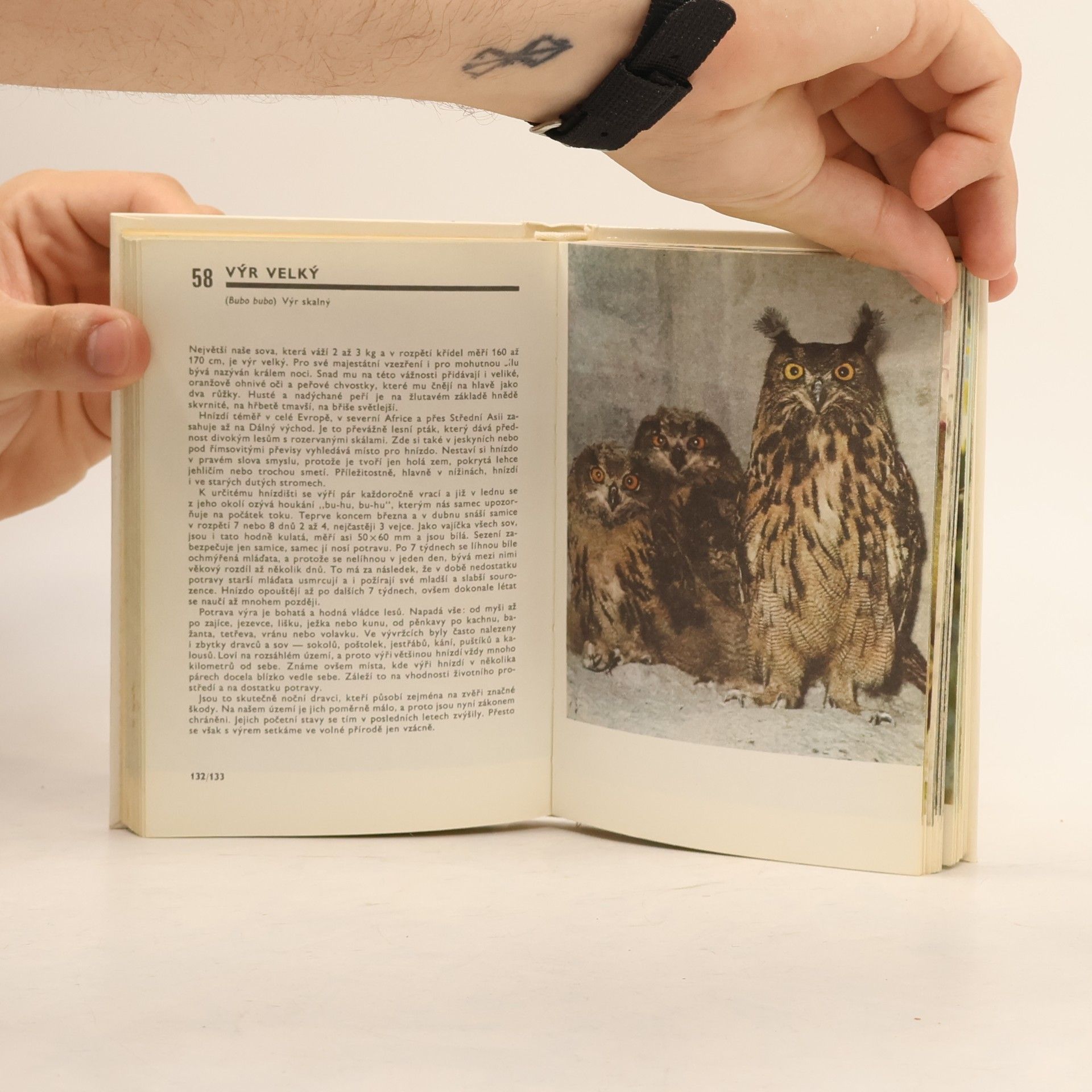 Miroslav Bouchner Kapesní atlas ptáků