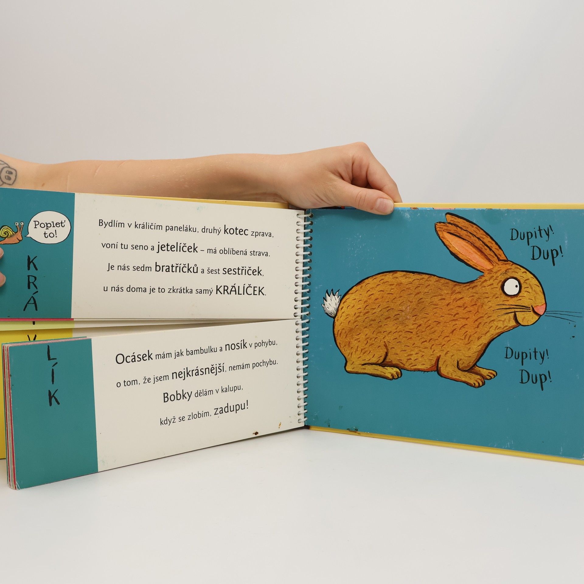Axel Scheffler Rozpustilé hrátky na dvoře se zvířátky