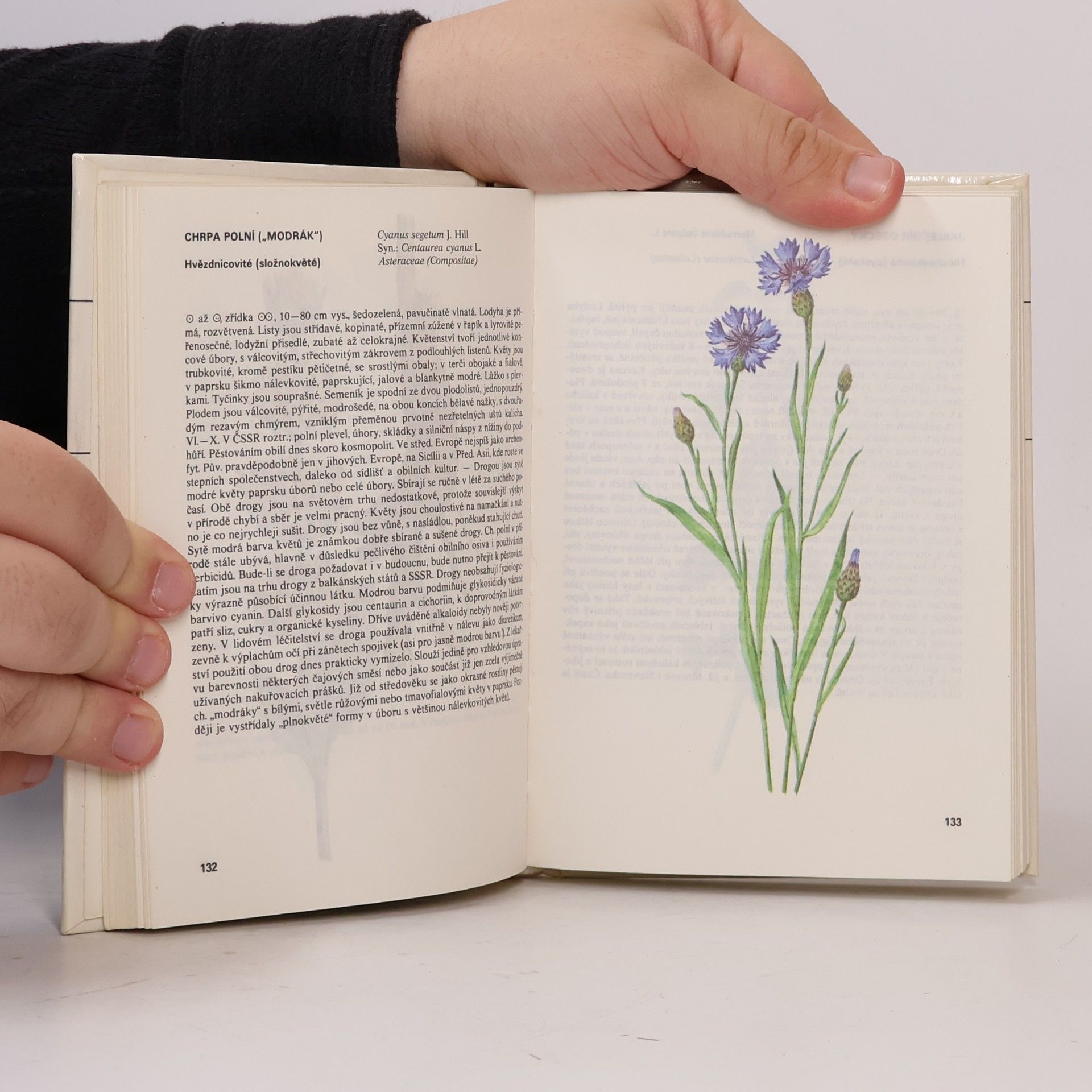 Václav Jirásek Kapesní atlas léčivých rostlin