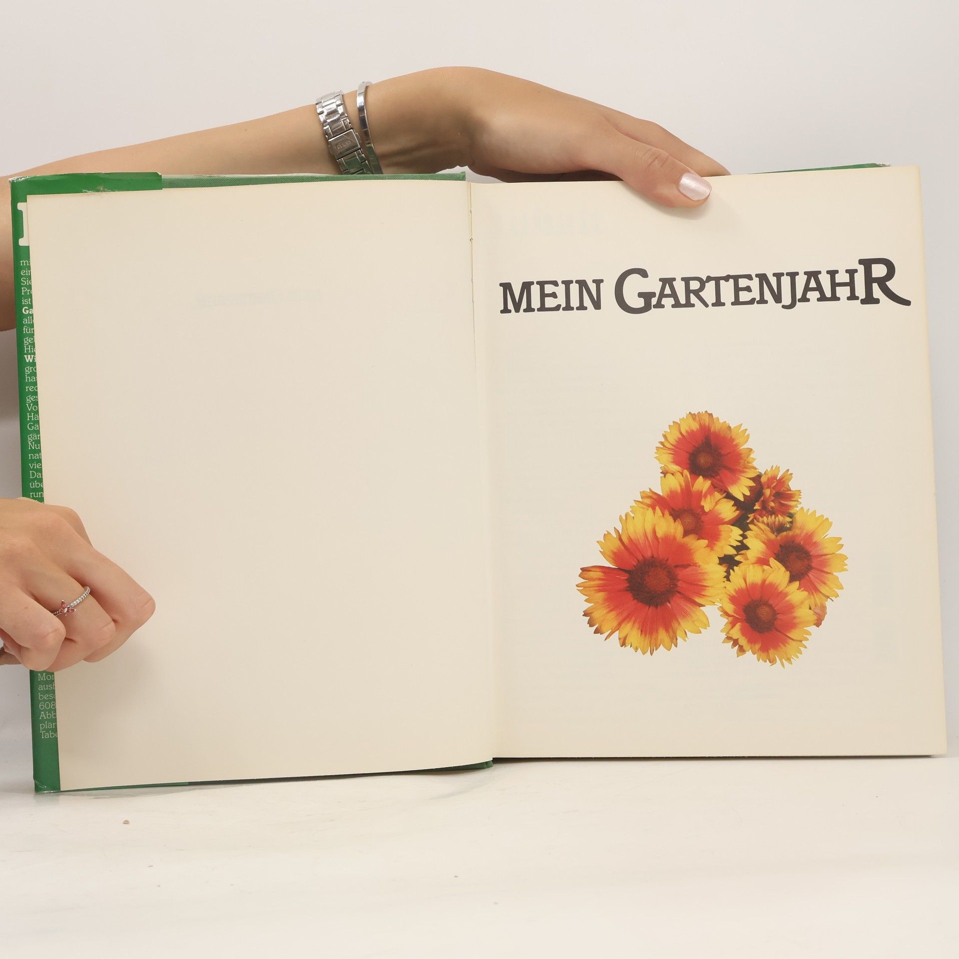 Autorenkollektiv Mein Gartenjahr