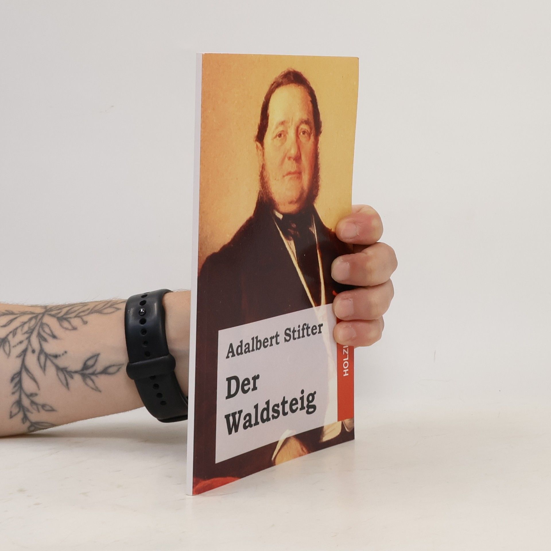 Adalbert Stifter Der Waldsteig