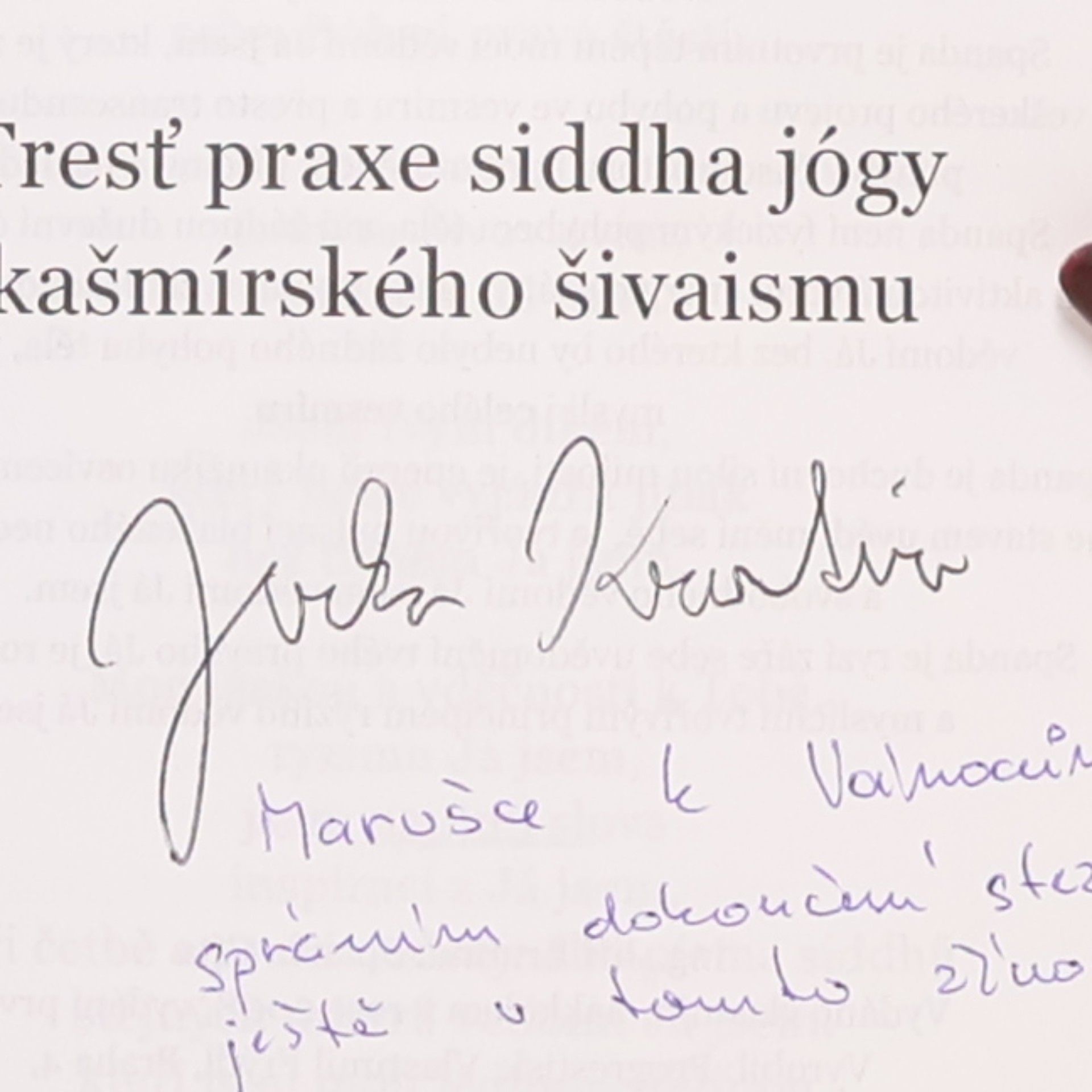 Jiří Krutina Spanda Gíta. Tresť praxe siddha jógy kašmírského šivaismu