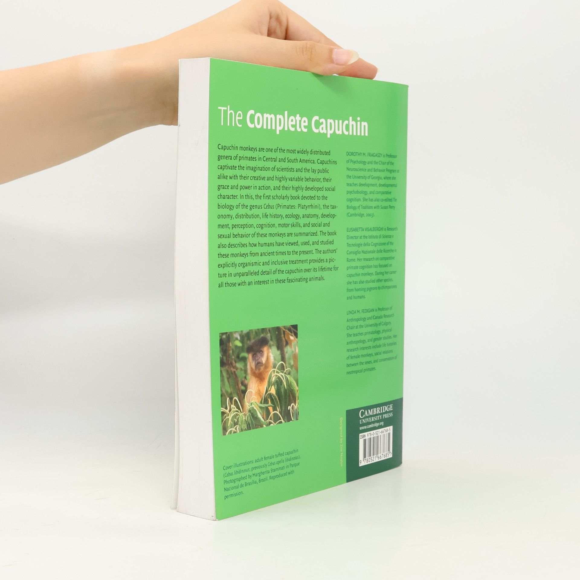 Dorothy M. Fragaszy The Complete Capuchin