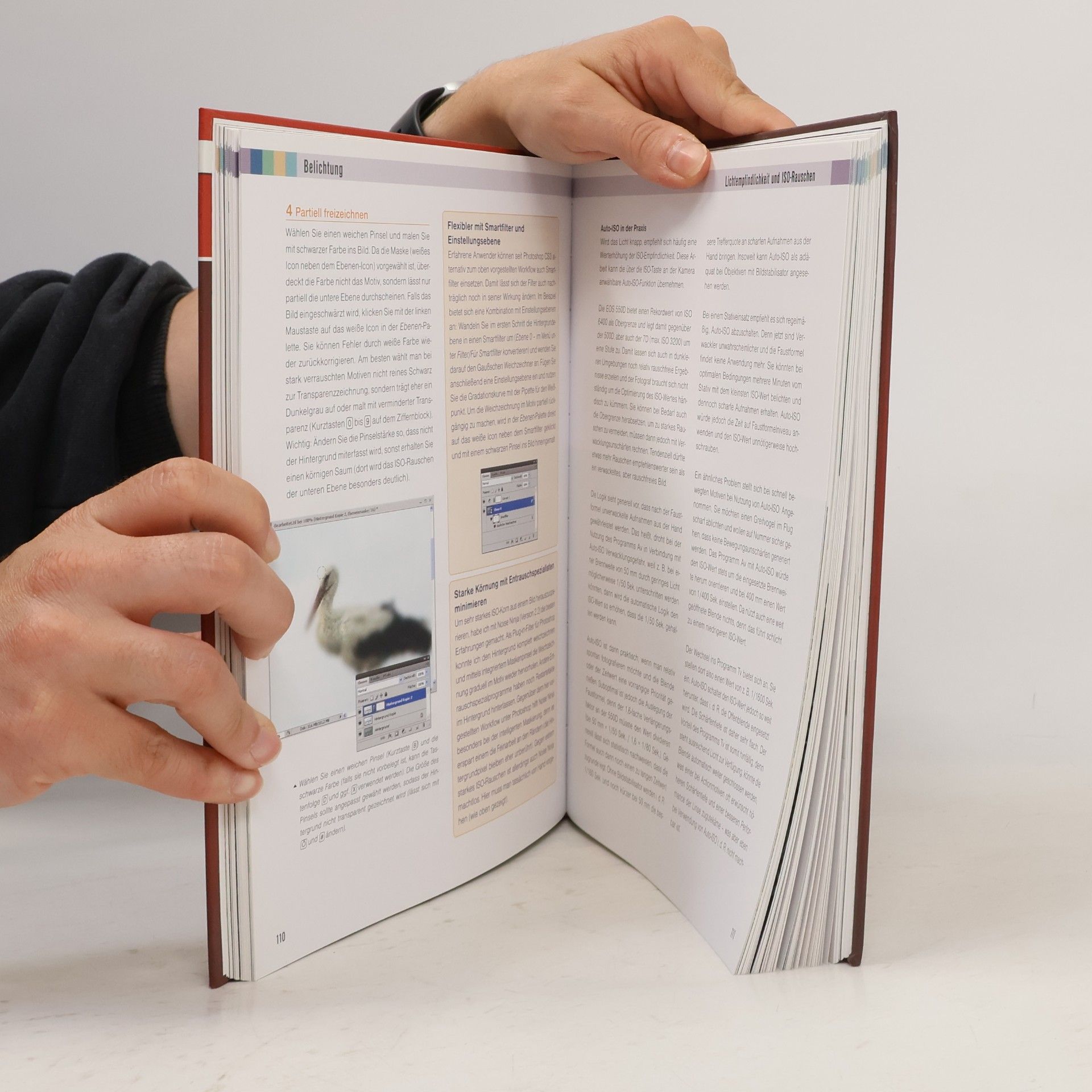 Stefan Gross Das Profi-Handbuch Canon EOS 550D