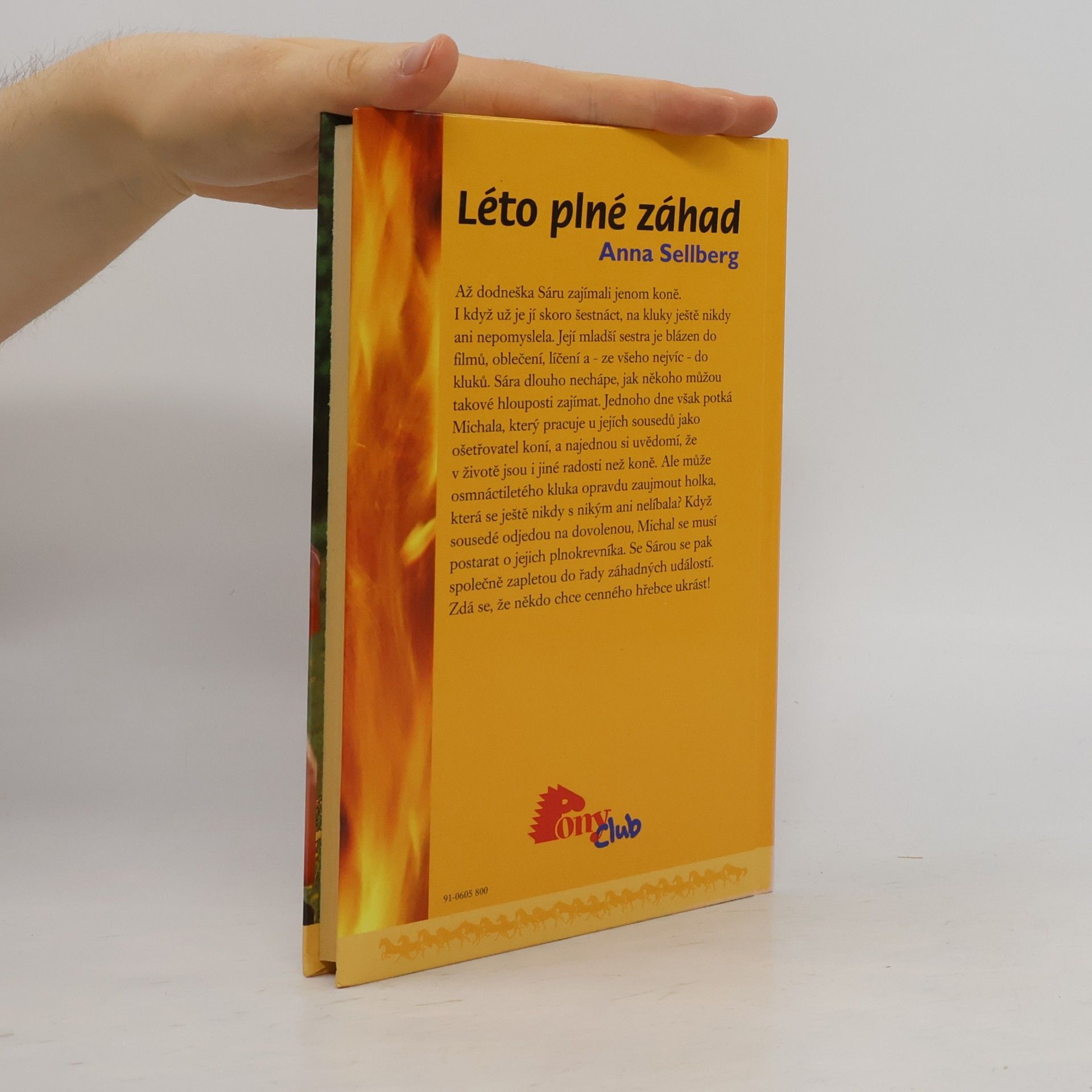 Anna Sellberg Léto plné záhad