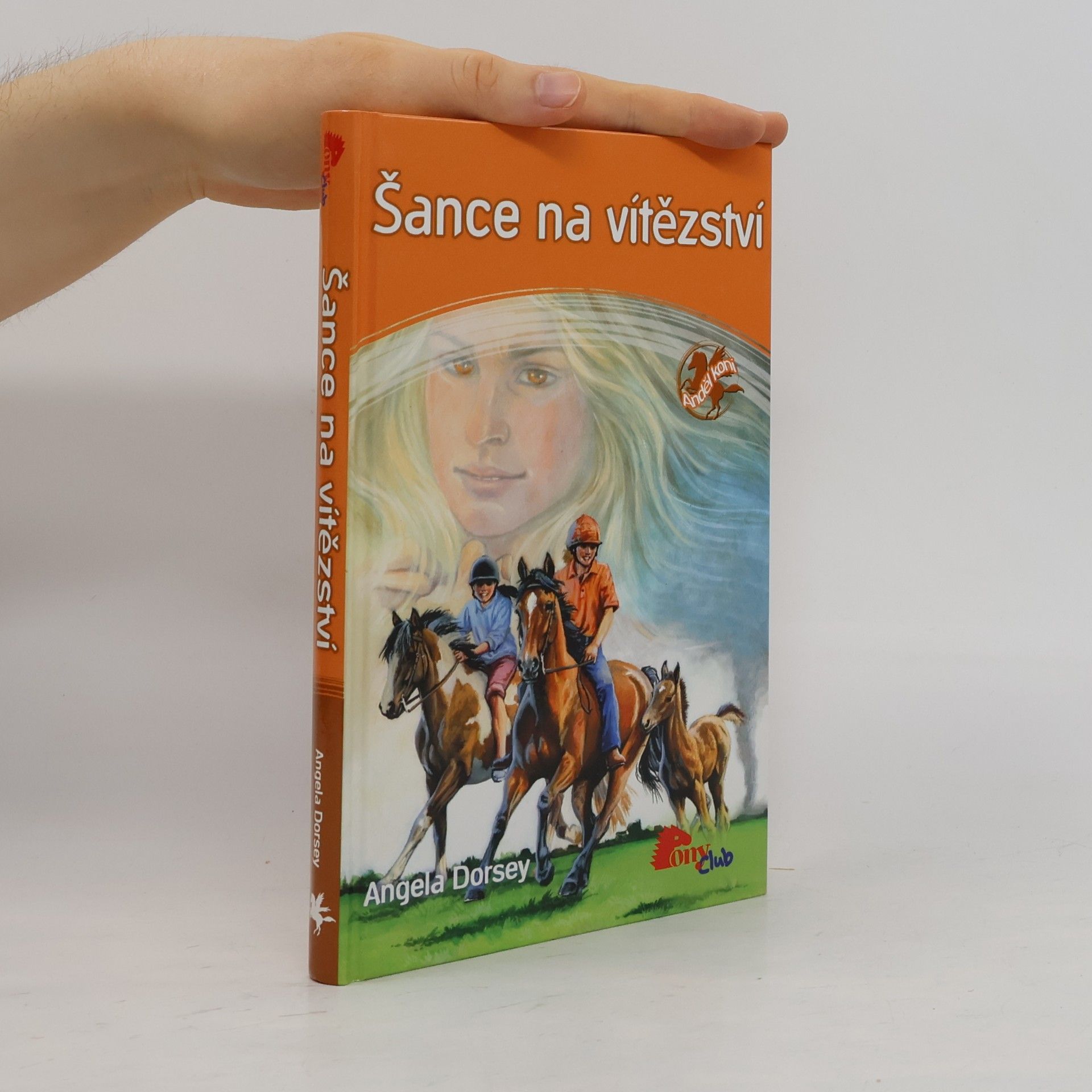Angela Dorsey Šance na vítězství