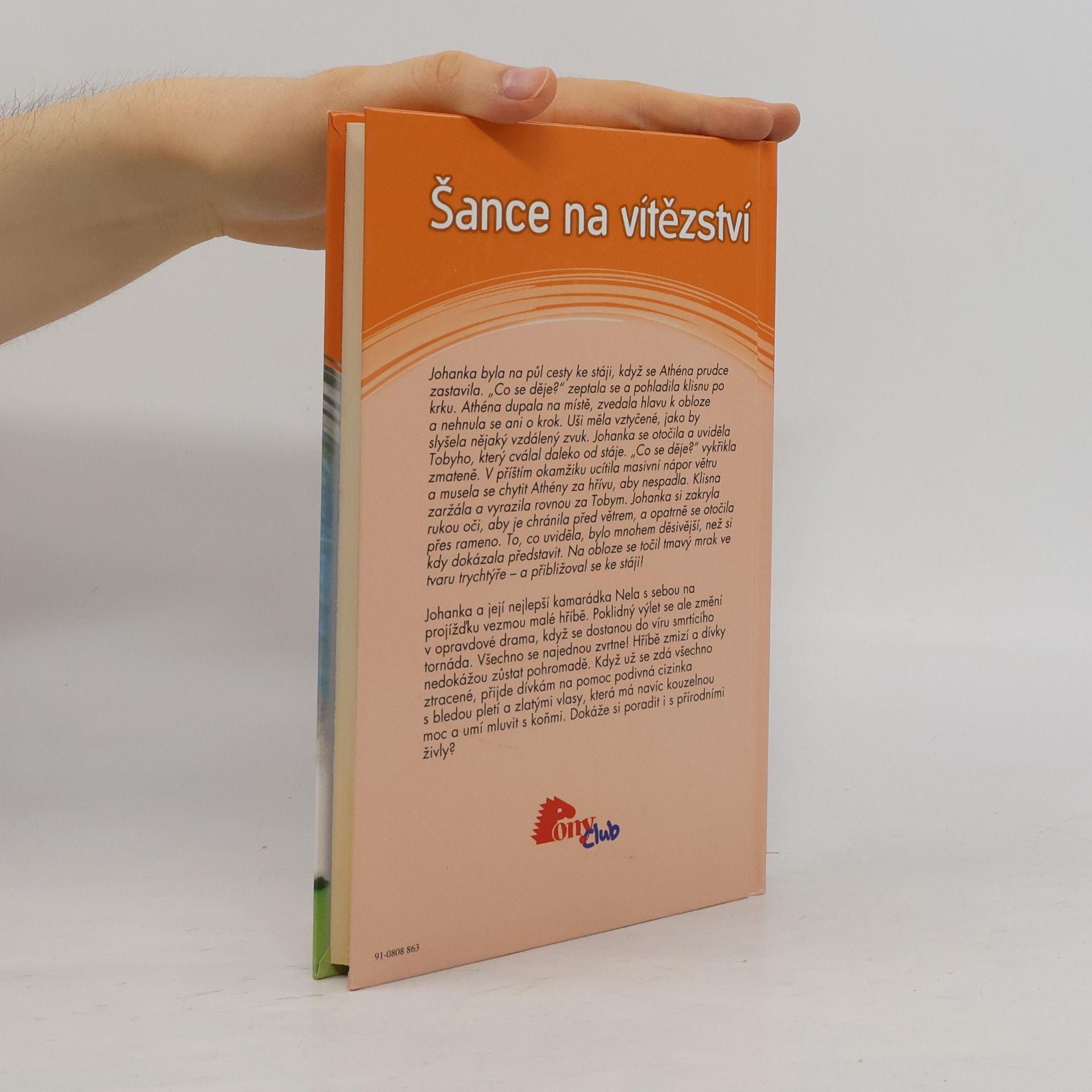 Angela Dorsey Šance na vítězství