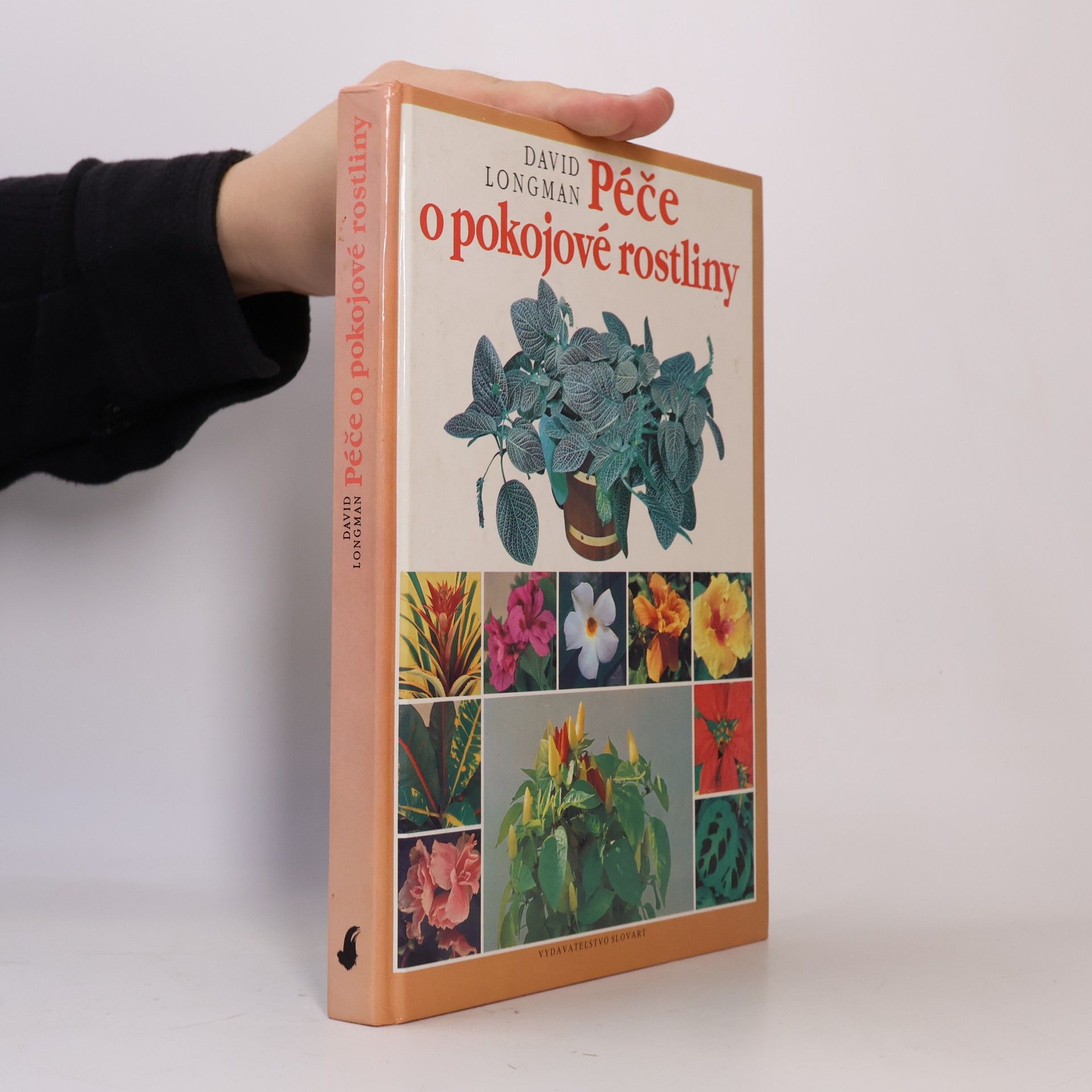 Péče o pokojové rostliny