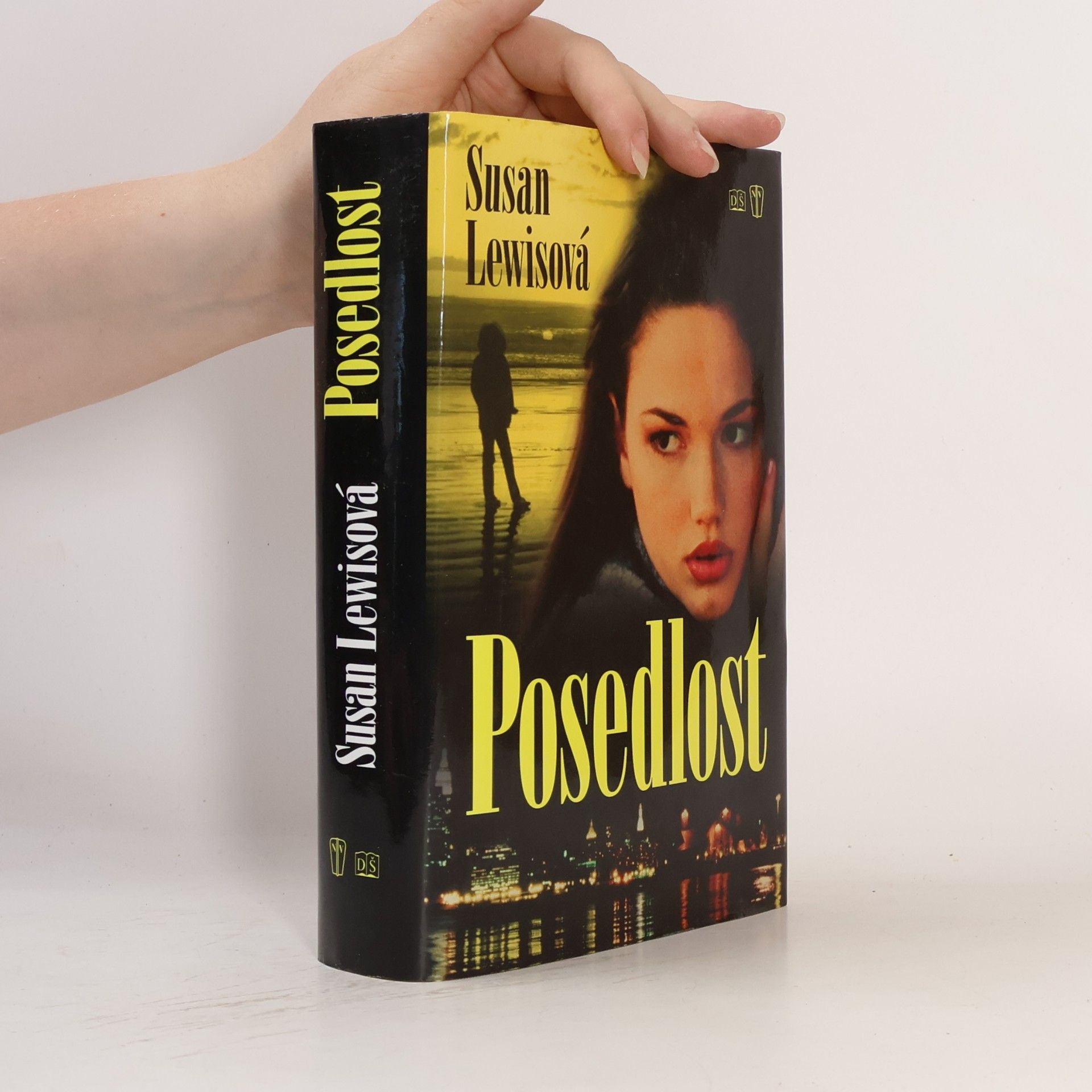 Susan Lewis Posedlost