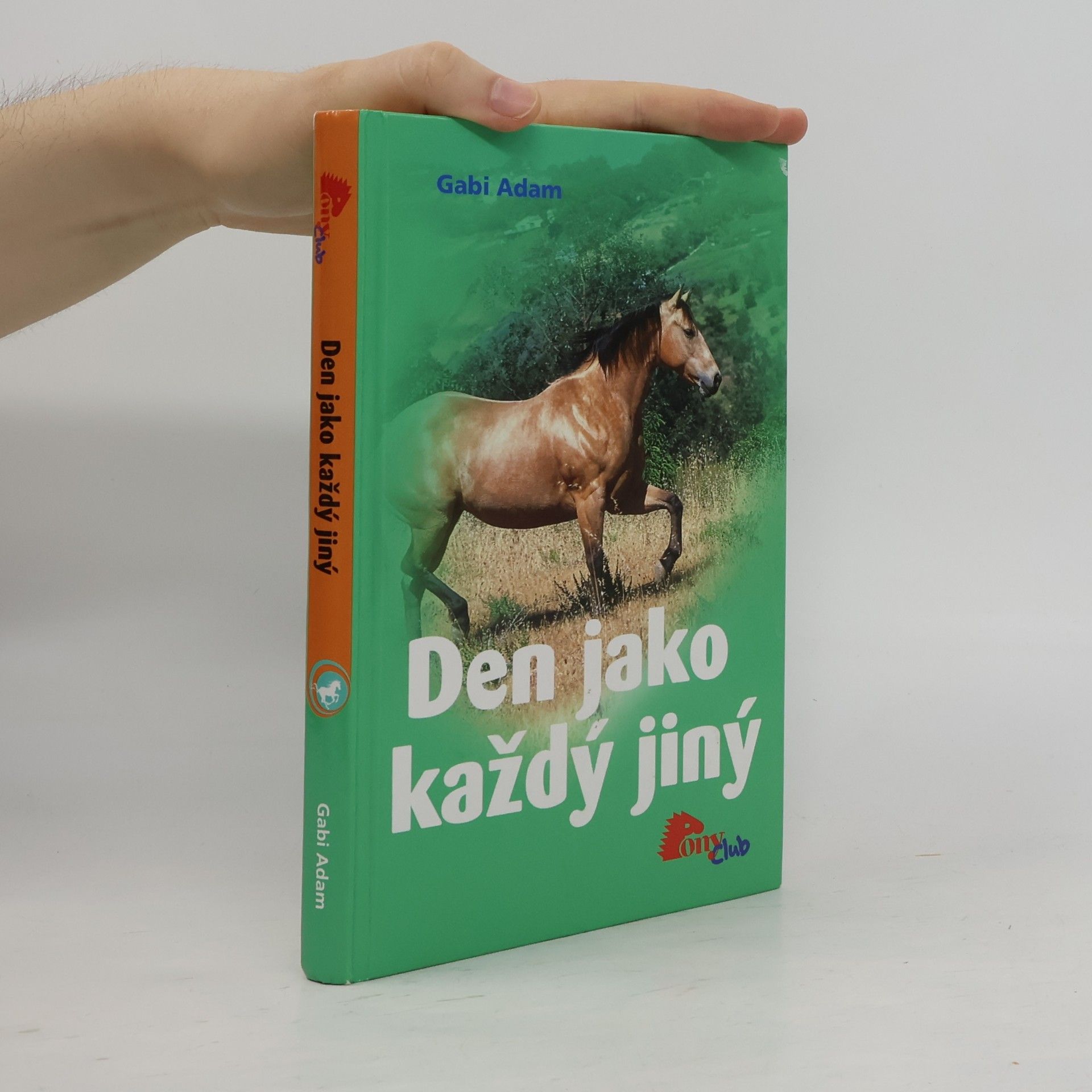 Gabi Adam Den jako každý jiný
