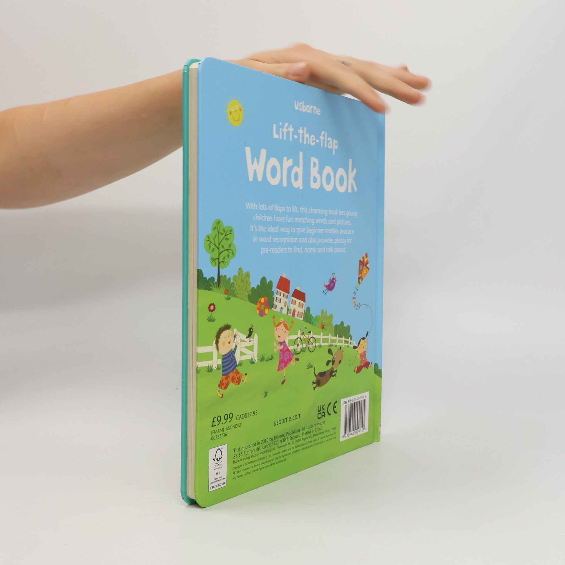 Felicity Brooks Lift-the-flap : Word book