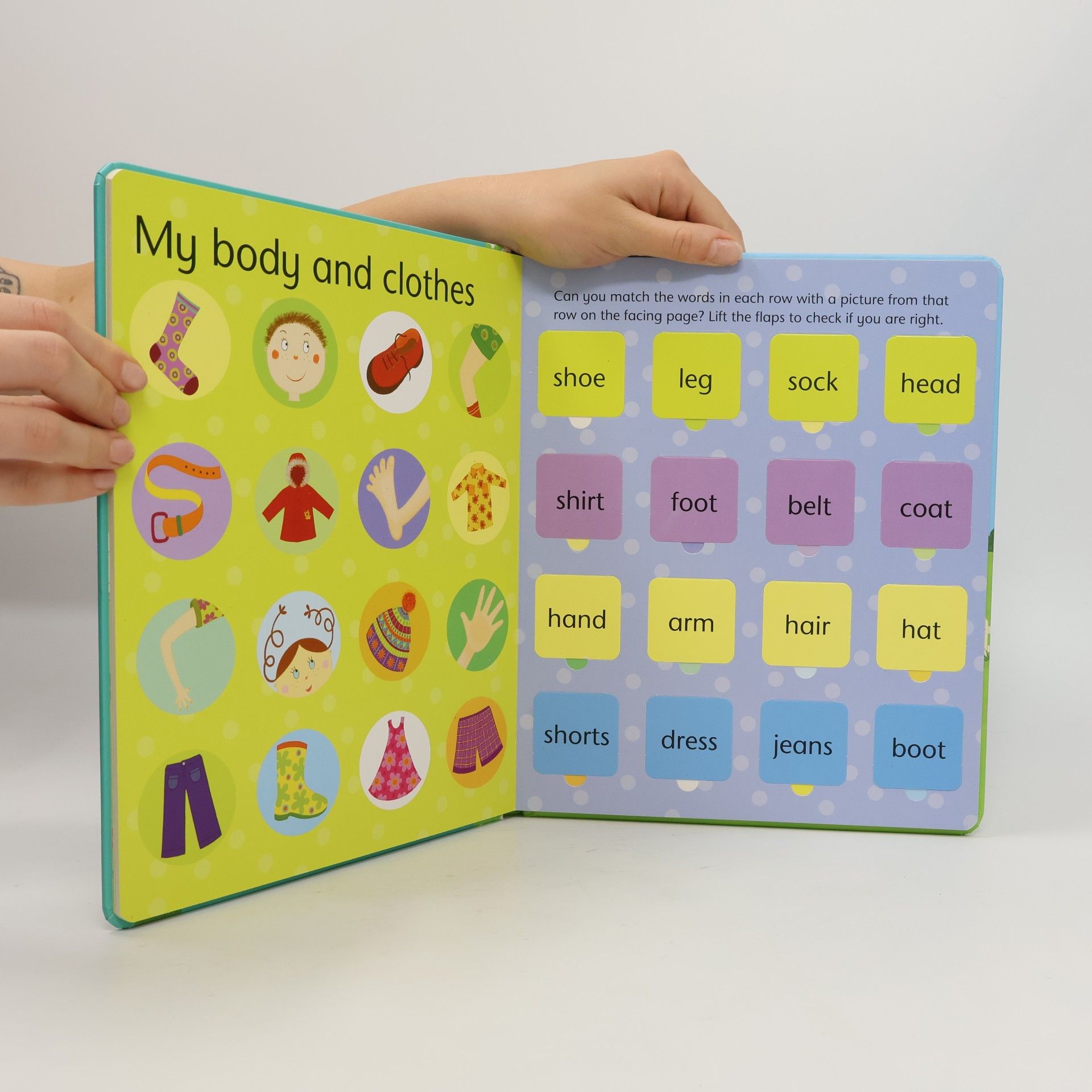 Felicity Brooks Lift-the-flap : Word book