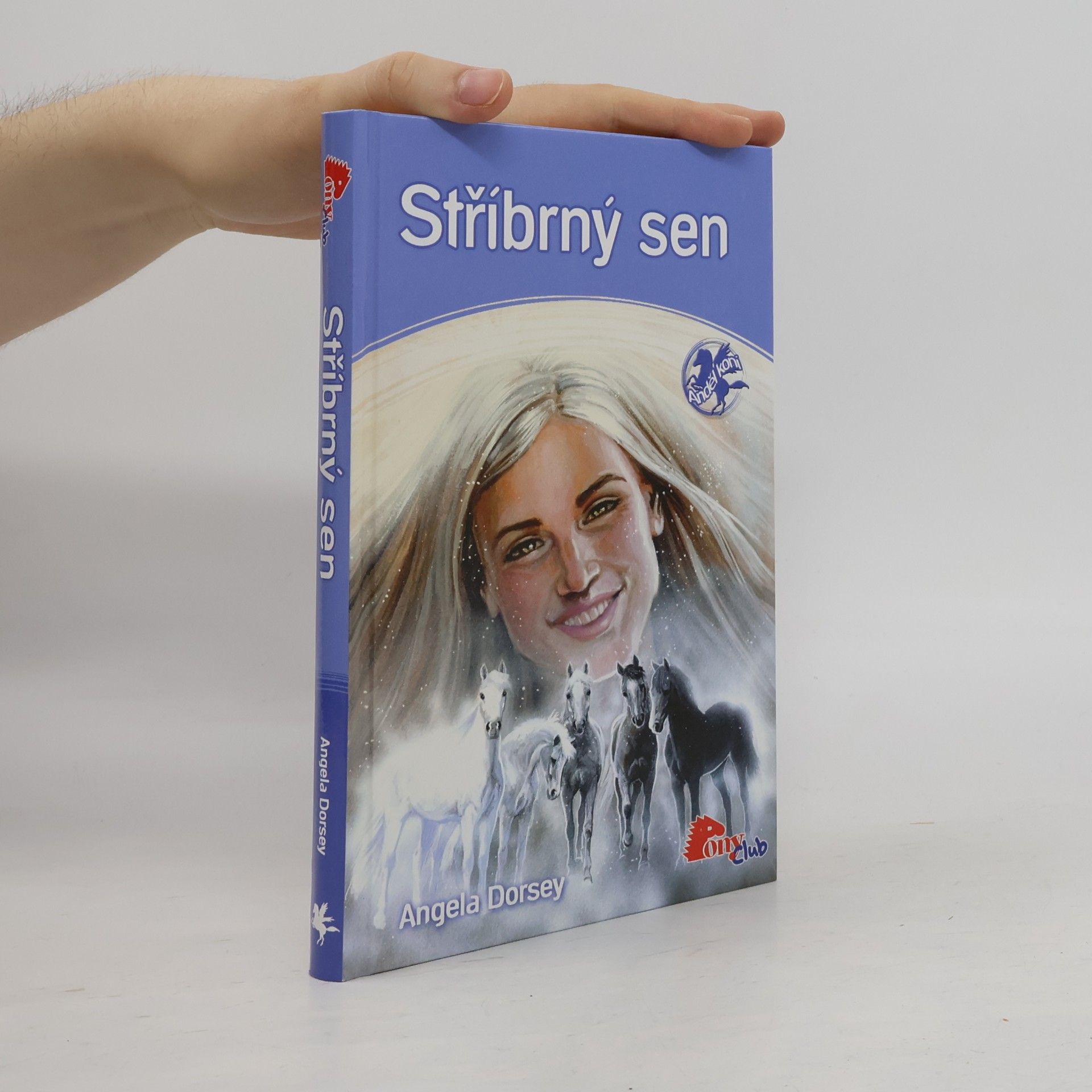 Angela Dorsey Stříbrný sen