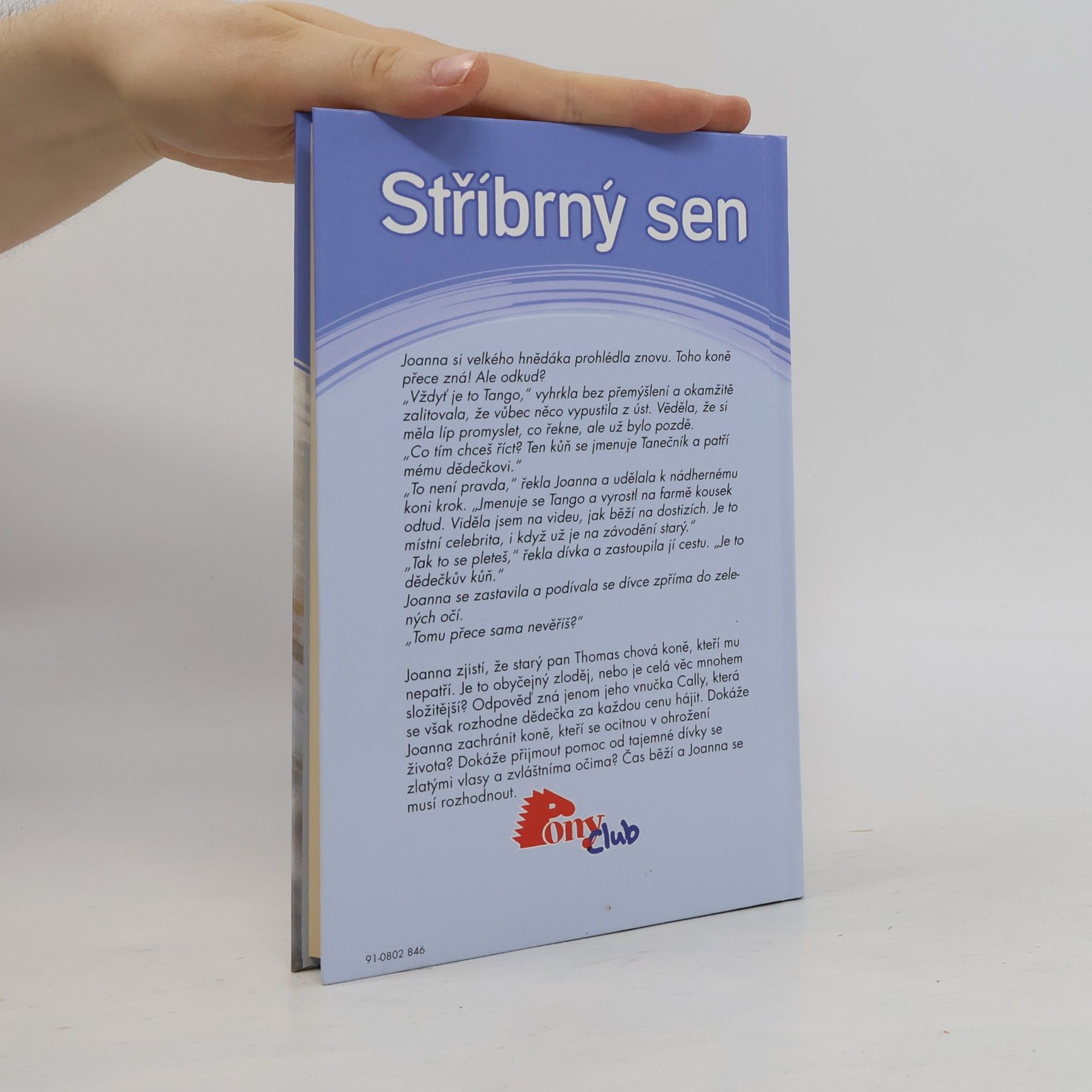 Angela Dorsey Stříbrný sen