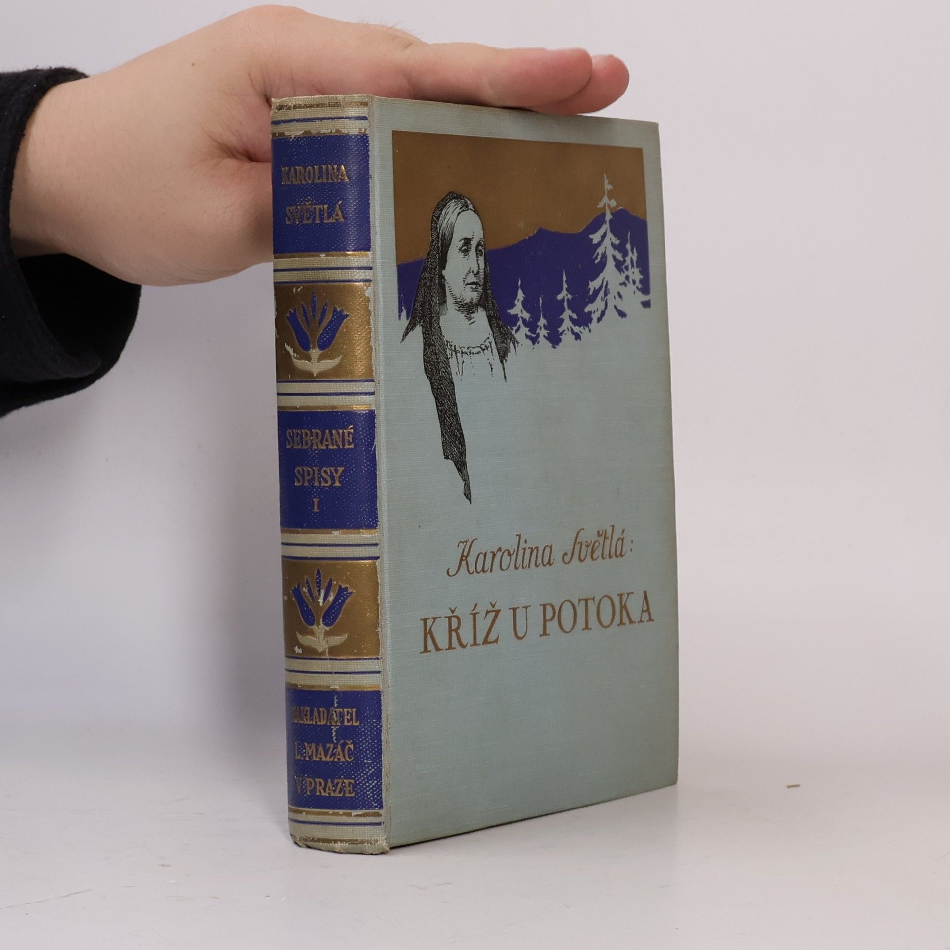 Karolina Světlá Kříž u potoka
