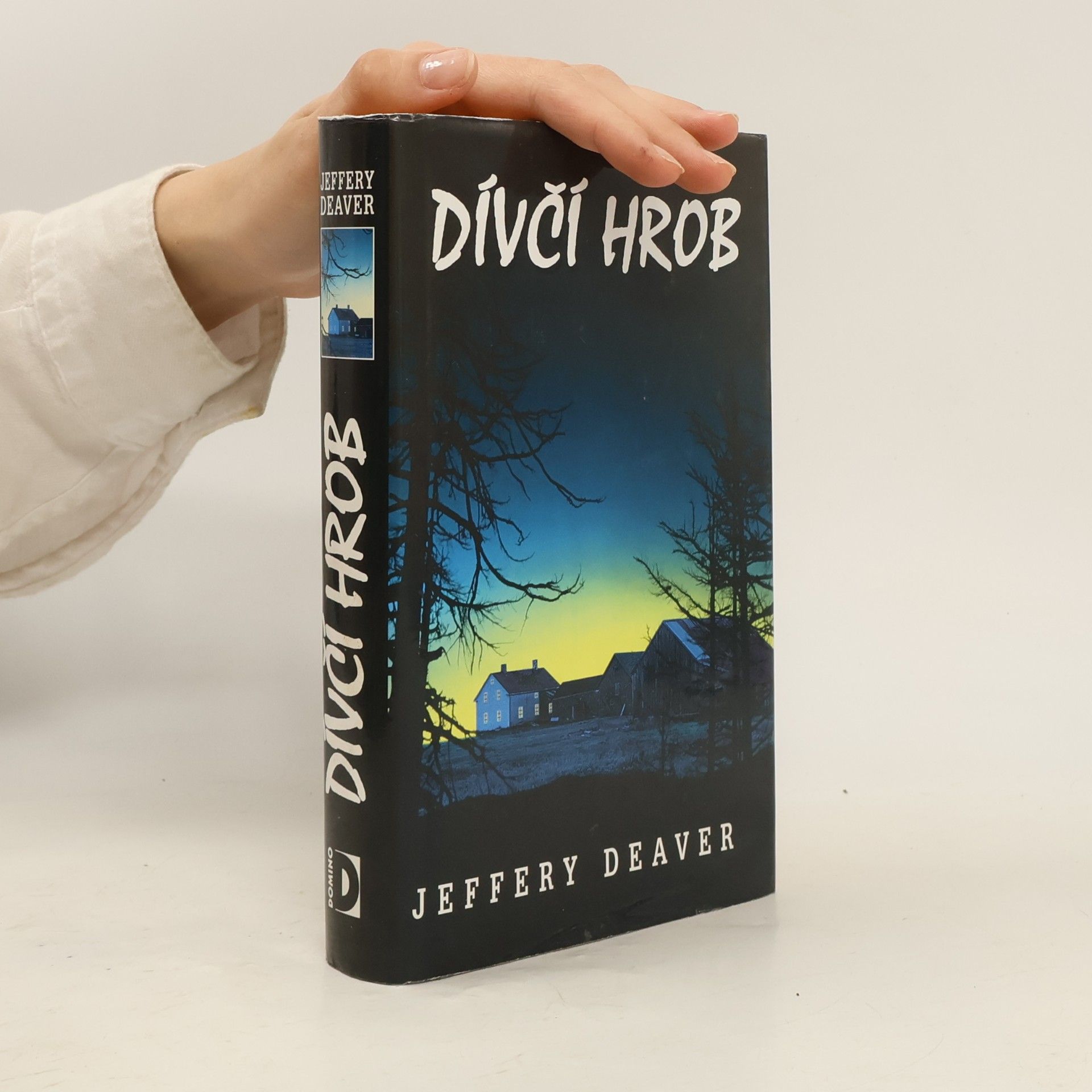 Jeffery Deaver Dívčí hrob