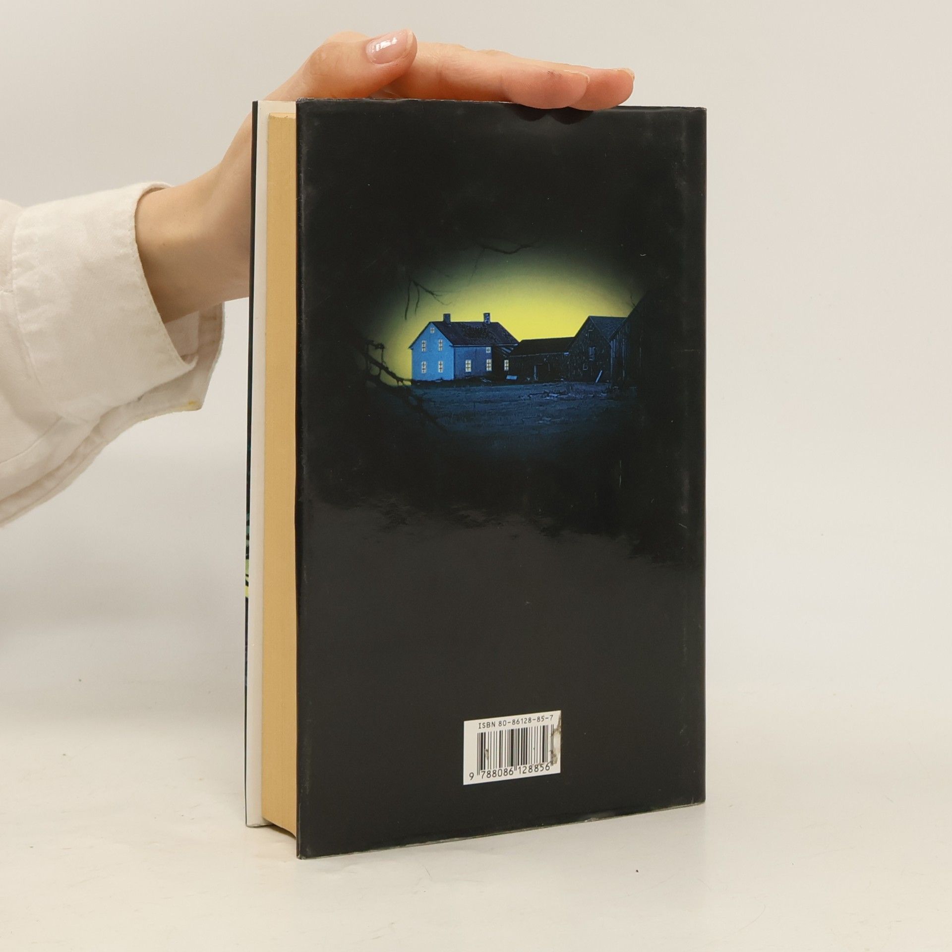 Jeffery Deaver Dívčí hrob