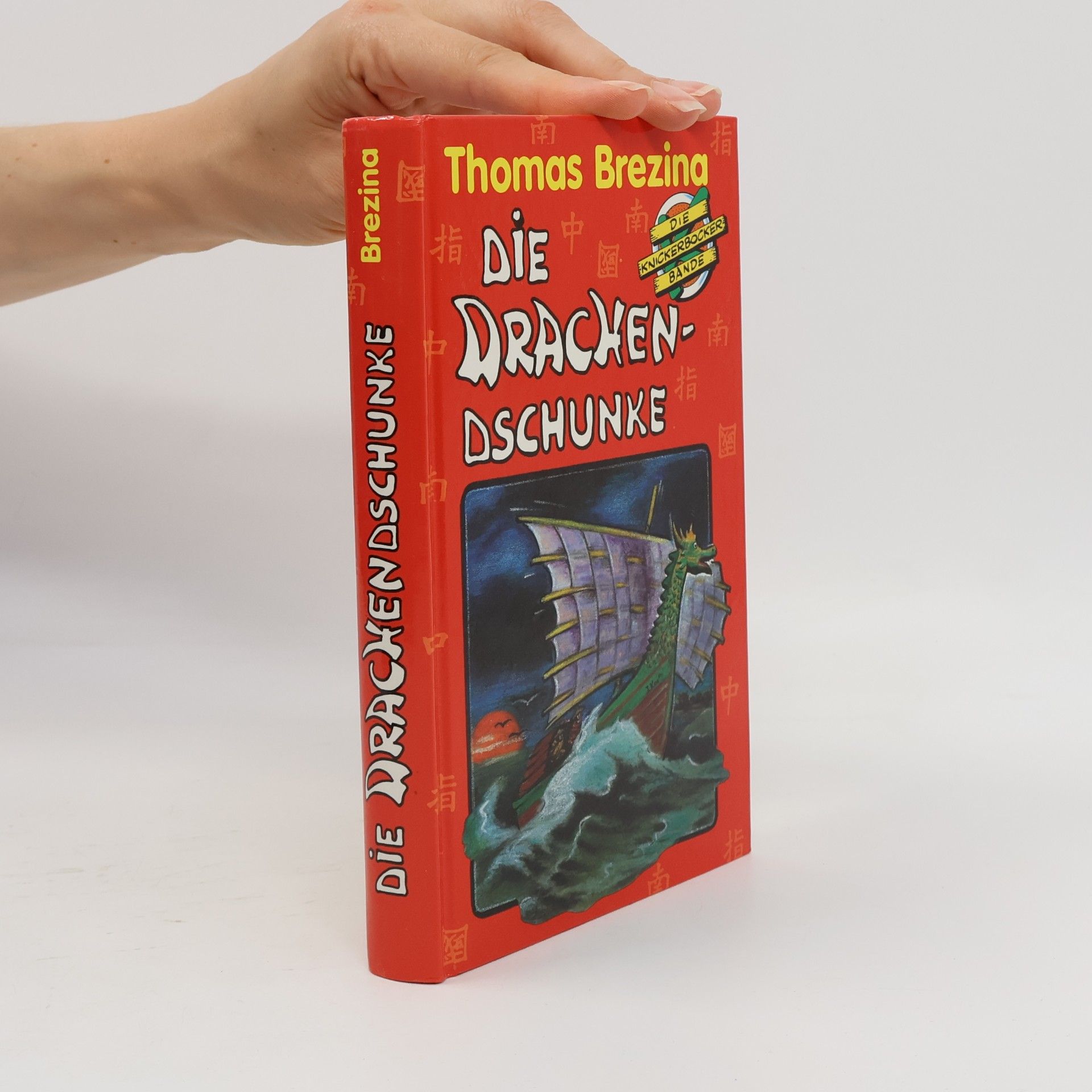 Thomas Brezina Die Drachen-Dschunke
