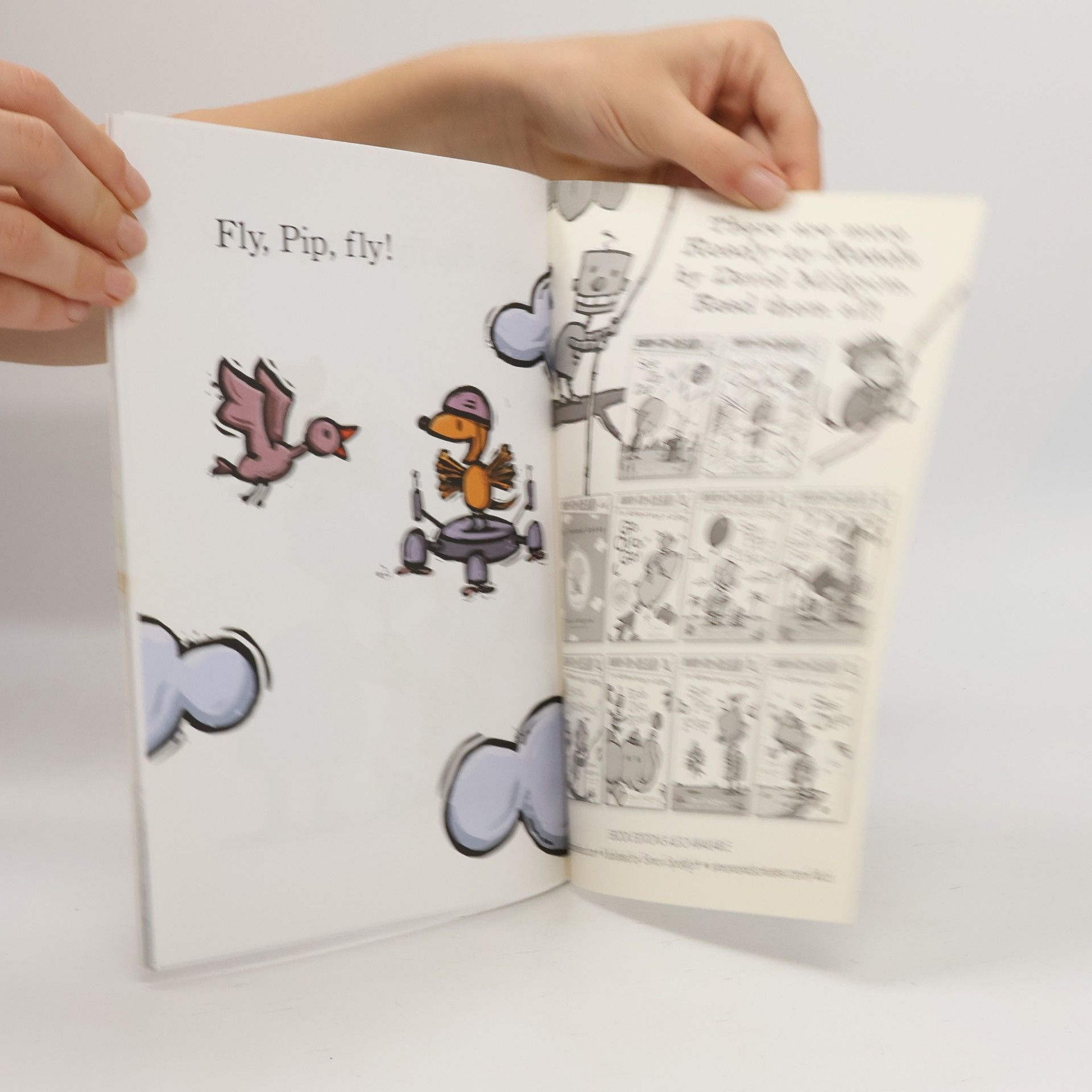 David Milgrim See Pip Flap: Ready-To-Read Pre-Level 1