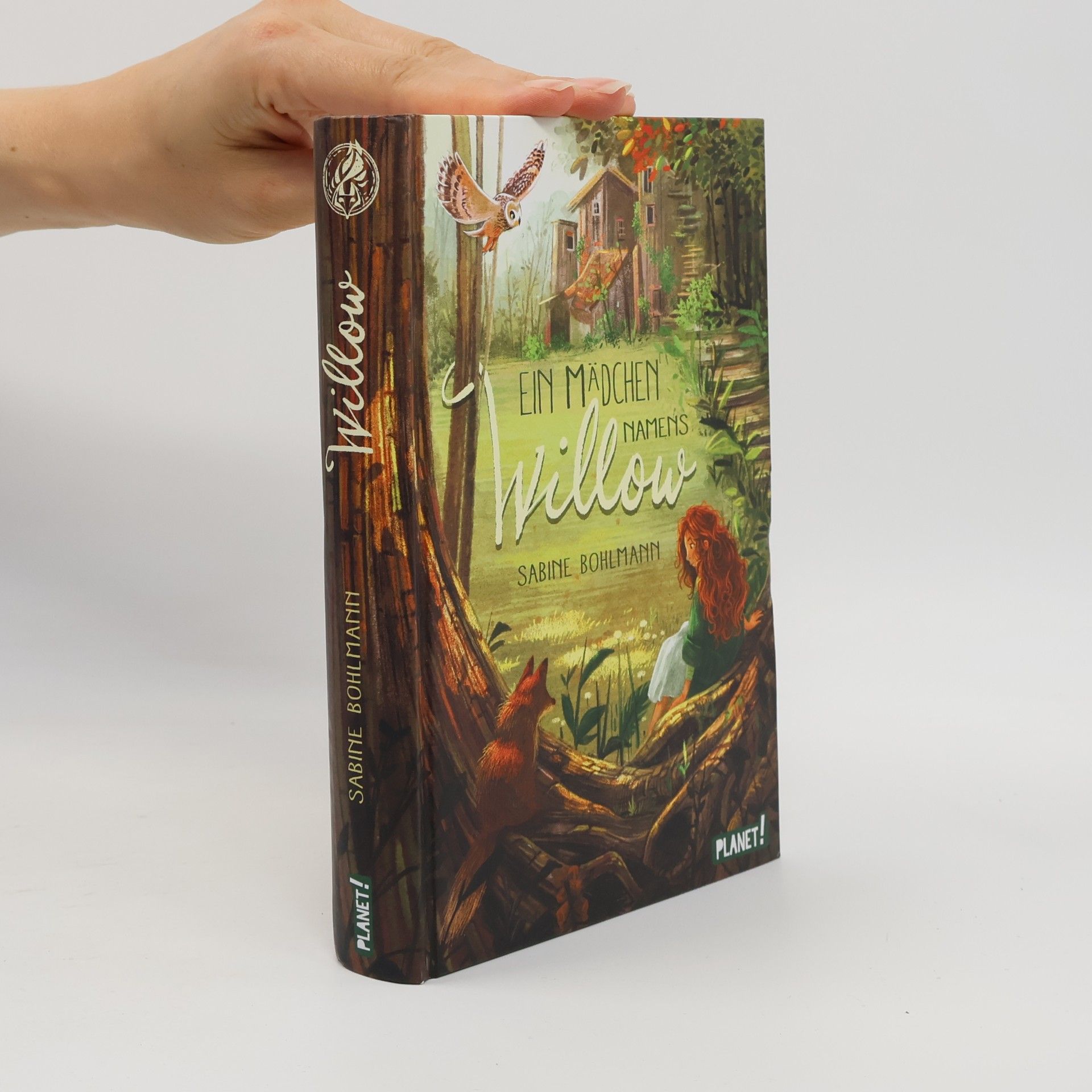 Sabine Bohlmann Ein Mädchen namens Willow