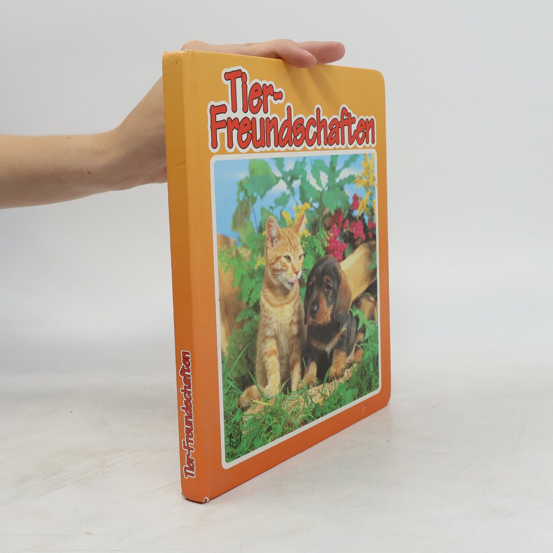 kolektiv Tier-Freundschaften