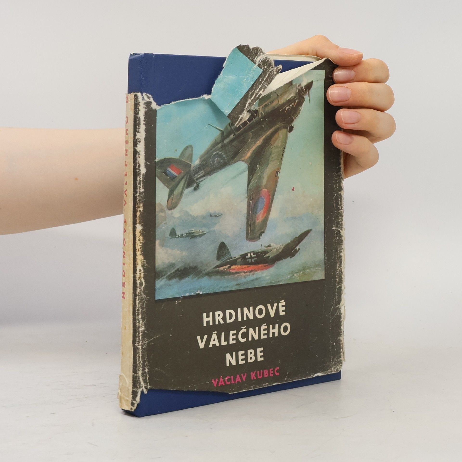 Václav Kubec Hrdinové válečného nebe
