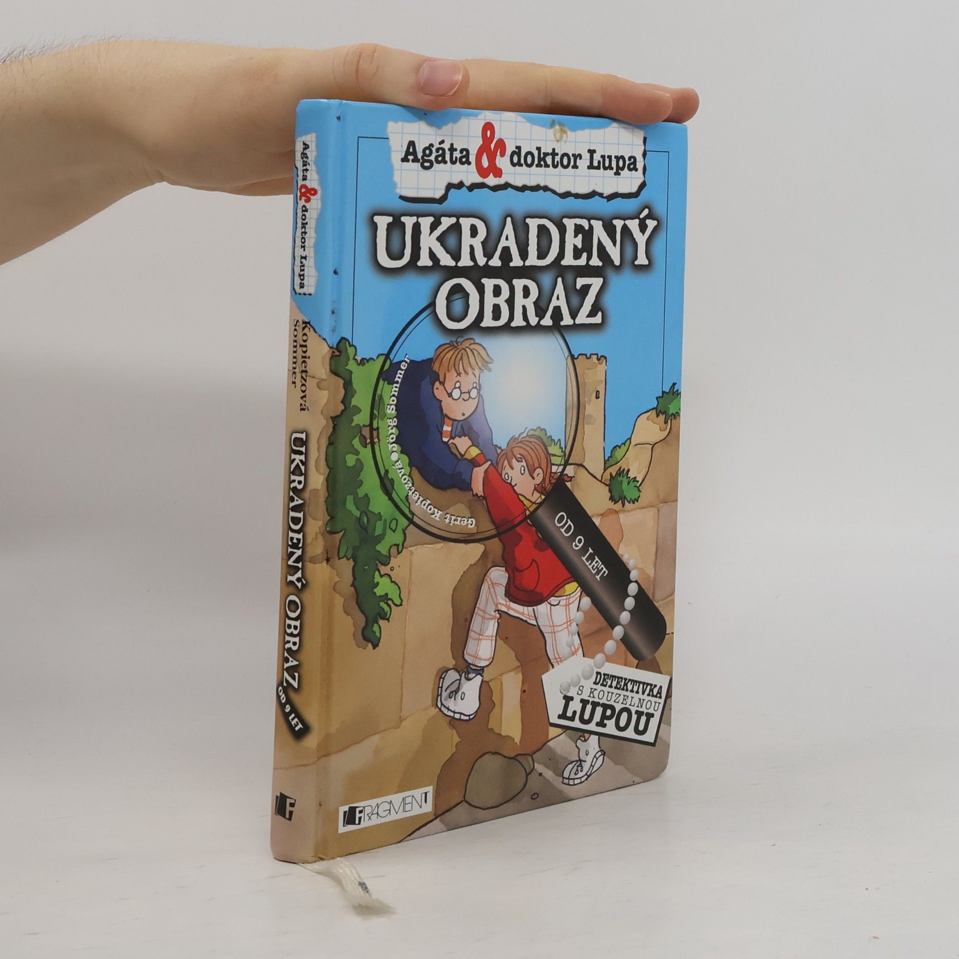 Jörg Sommer Ukradený obraz