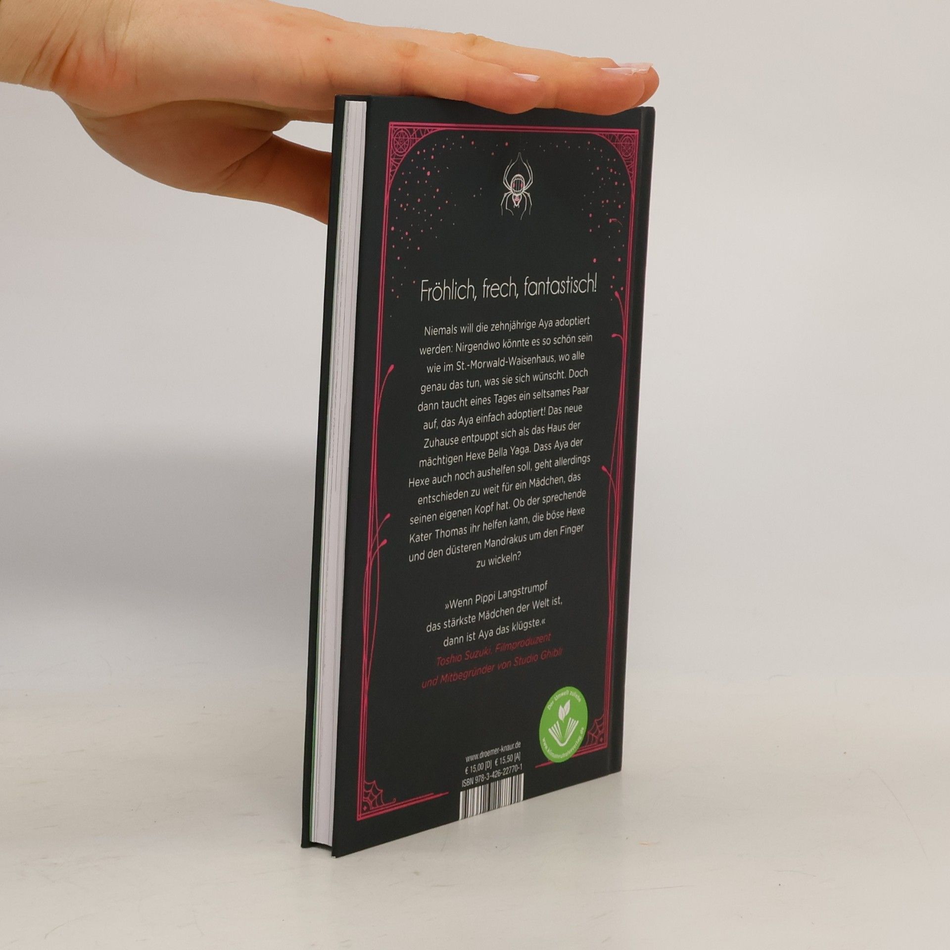 Diana Wynne Jones Aya und die Hexe