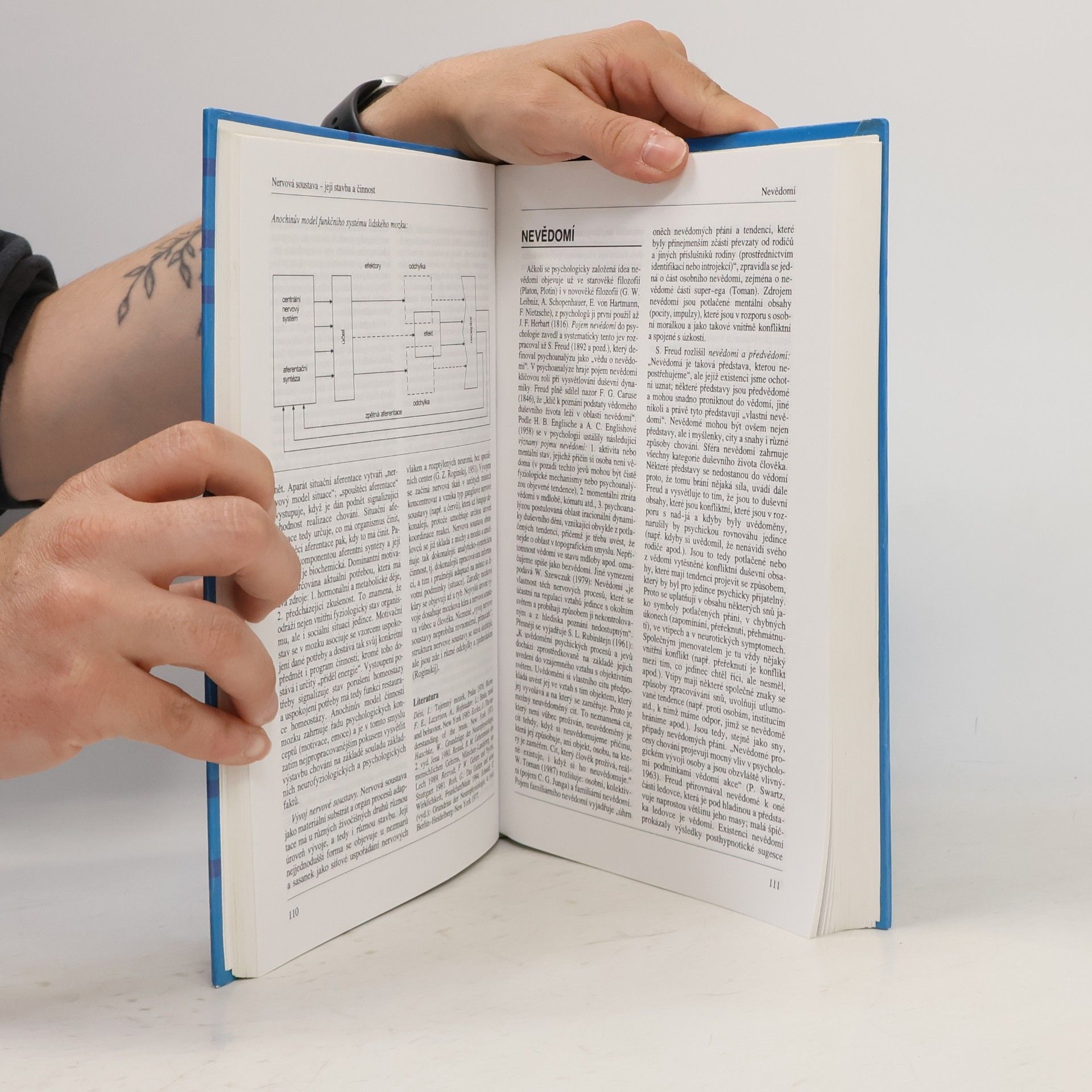 Milan Nakonečný Lexikon psychologie