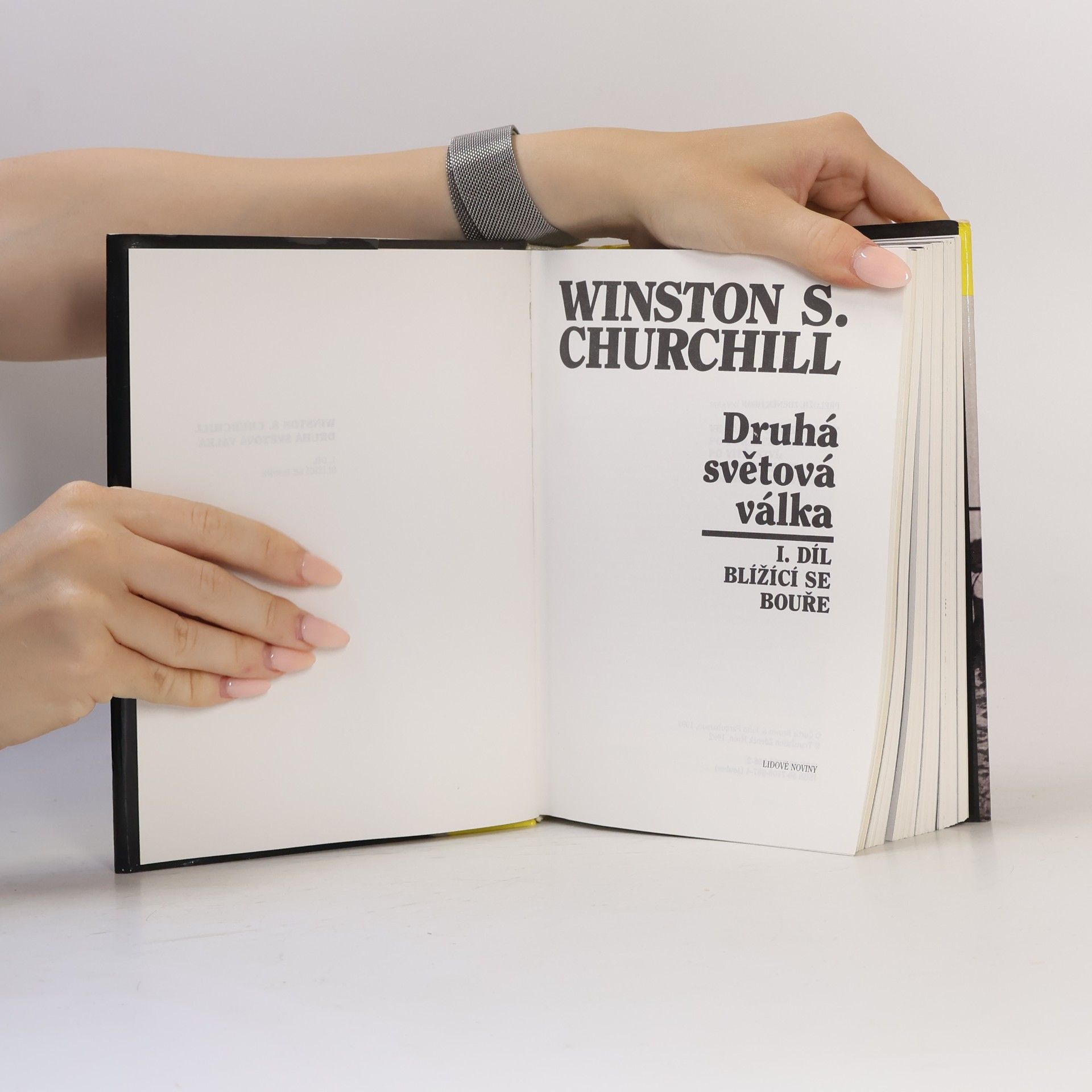 Winston Churchill Druhá světová válka. I. Blížící se bouře