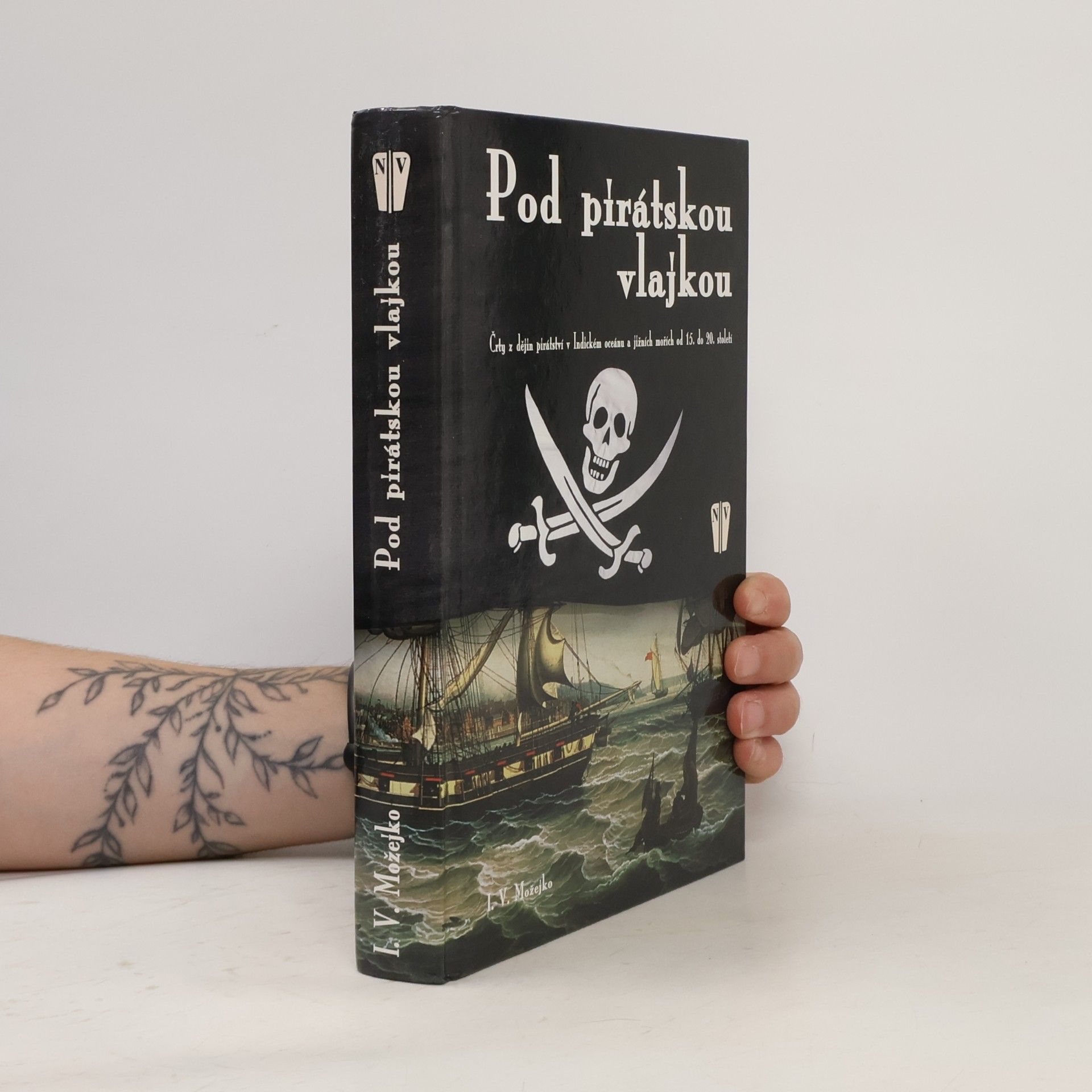 Igor Vsevolodovič Možejko Pod pirátskou vlajkou