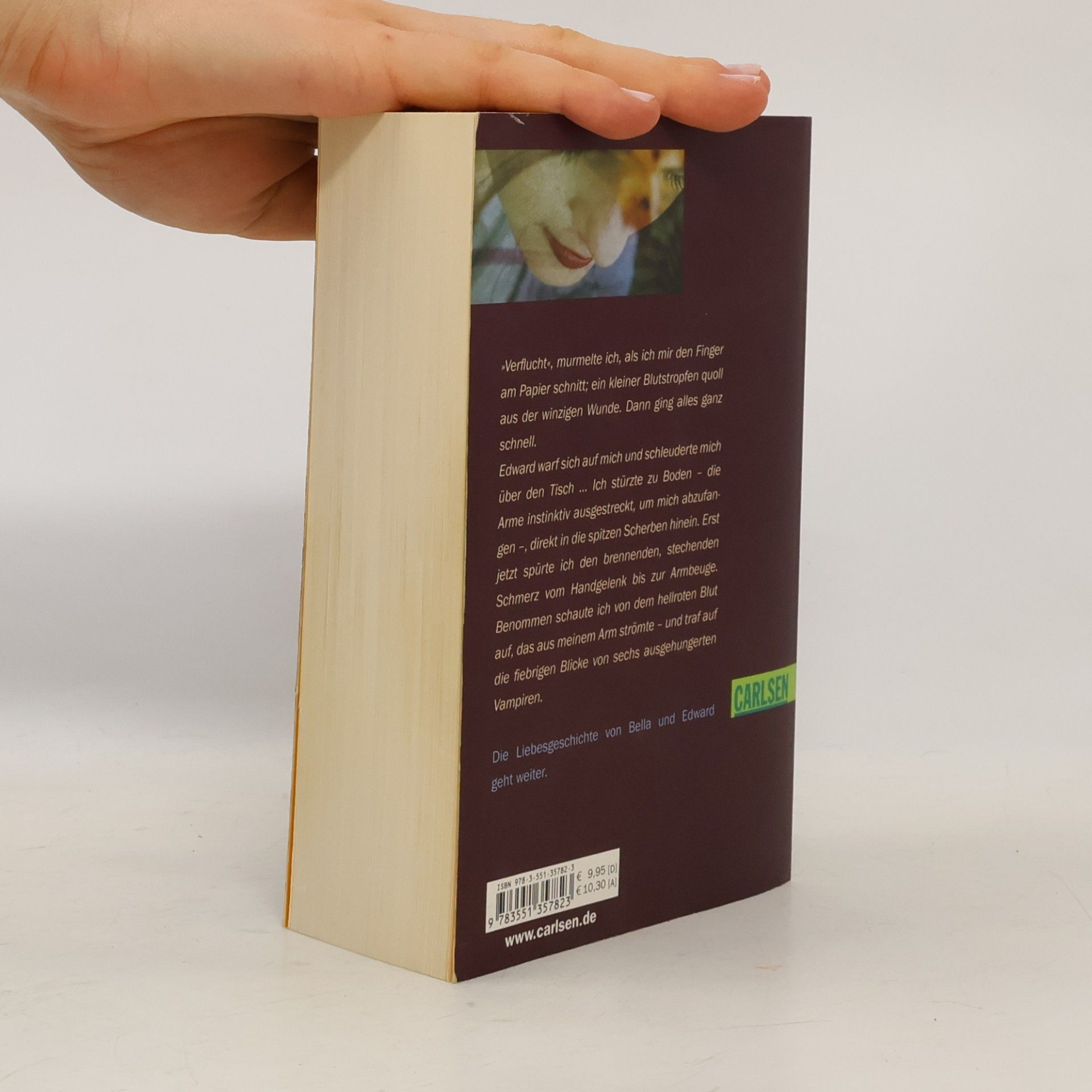 Stephenie Meyer Biss zur Mittagsstunde