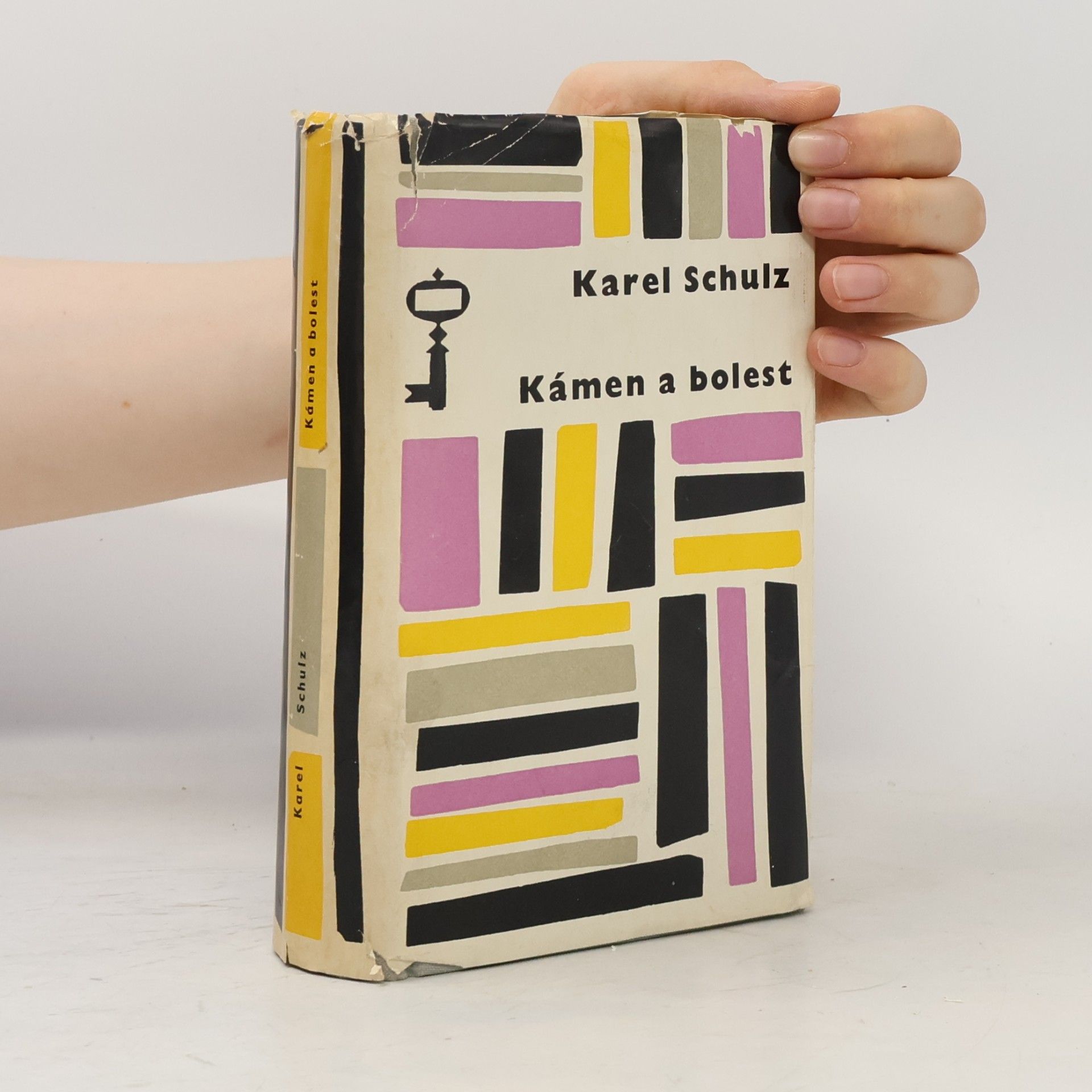 Karel Schulz Kámen a bolest