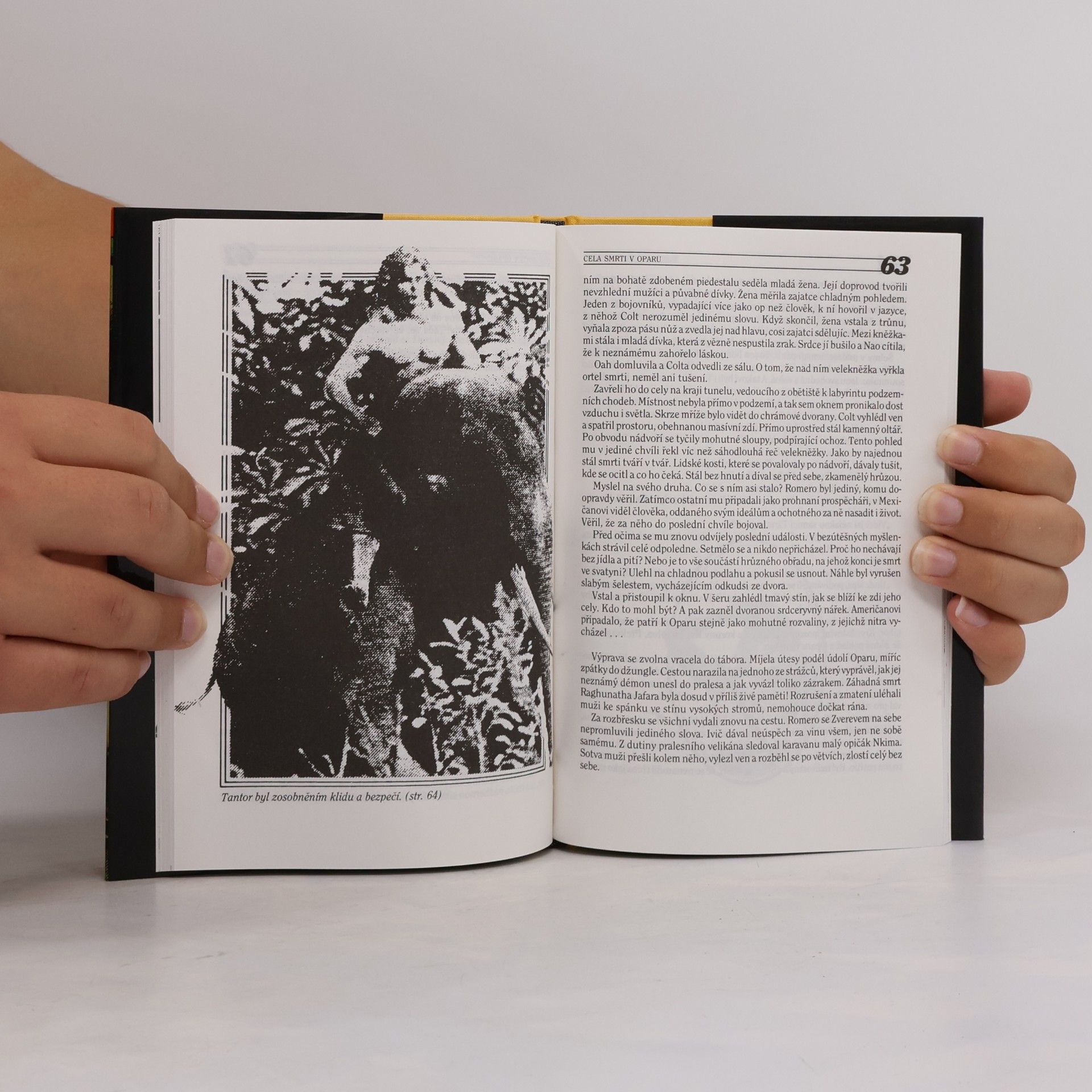 Edgar Rice Burroughs Tarzan nepřemožitelný