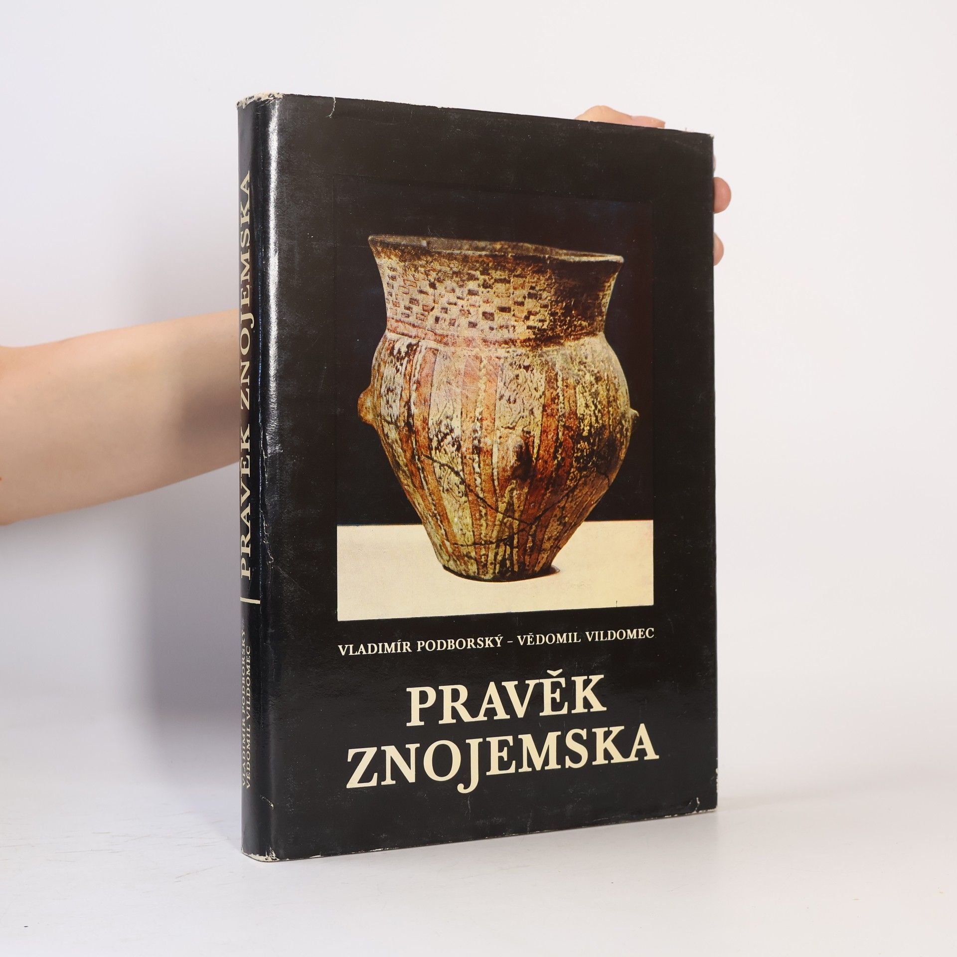 Pravěk Znojemska