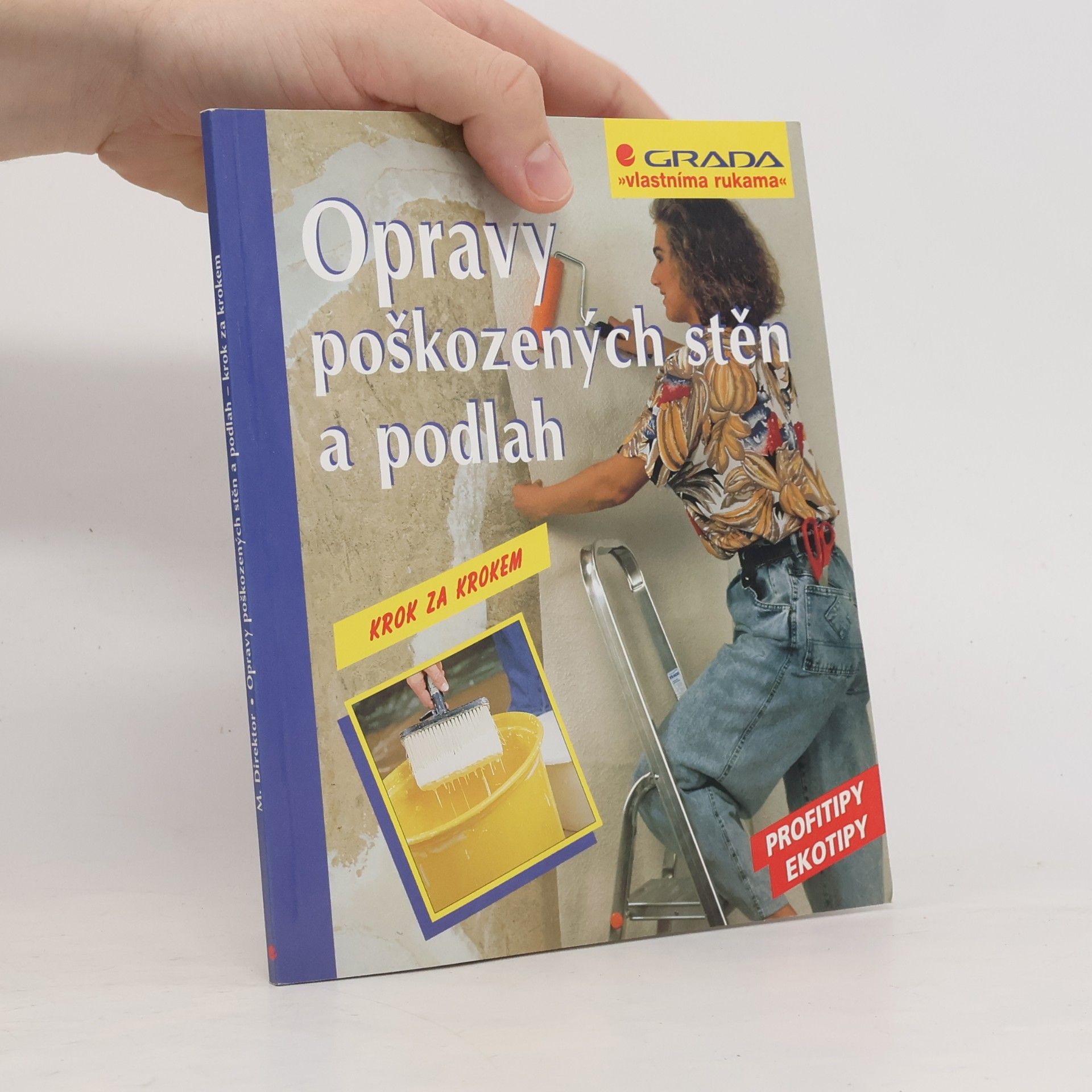 Max Direktor Opravy poškozených stěn a podlah