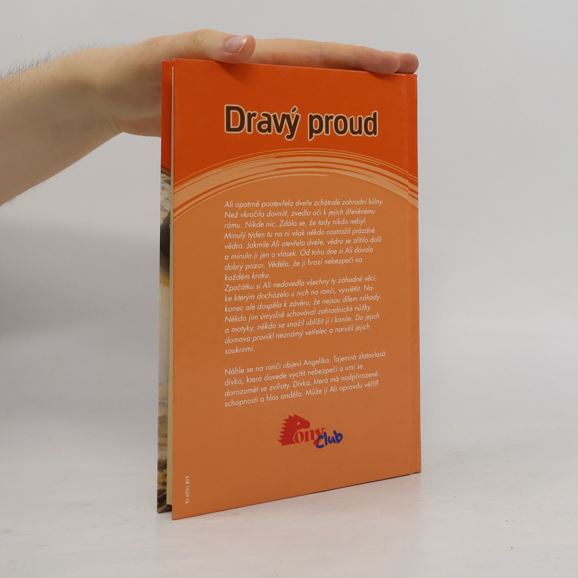 Angela Dorsey Dravý proud
