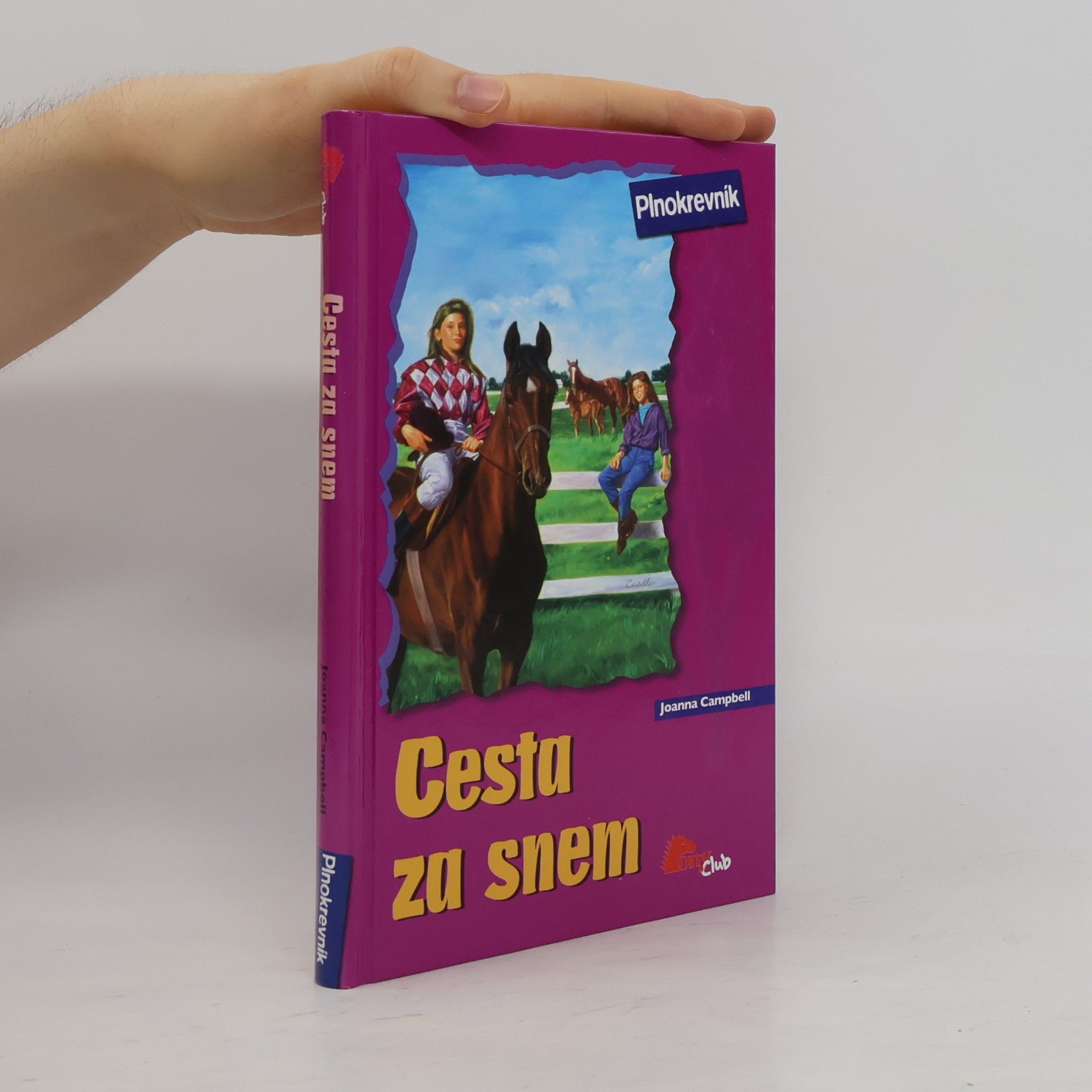 Joanna Campbell Cesta za snem