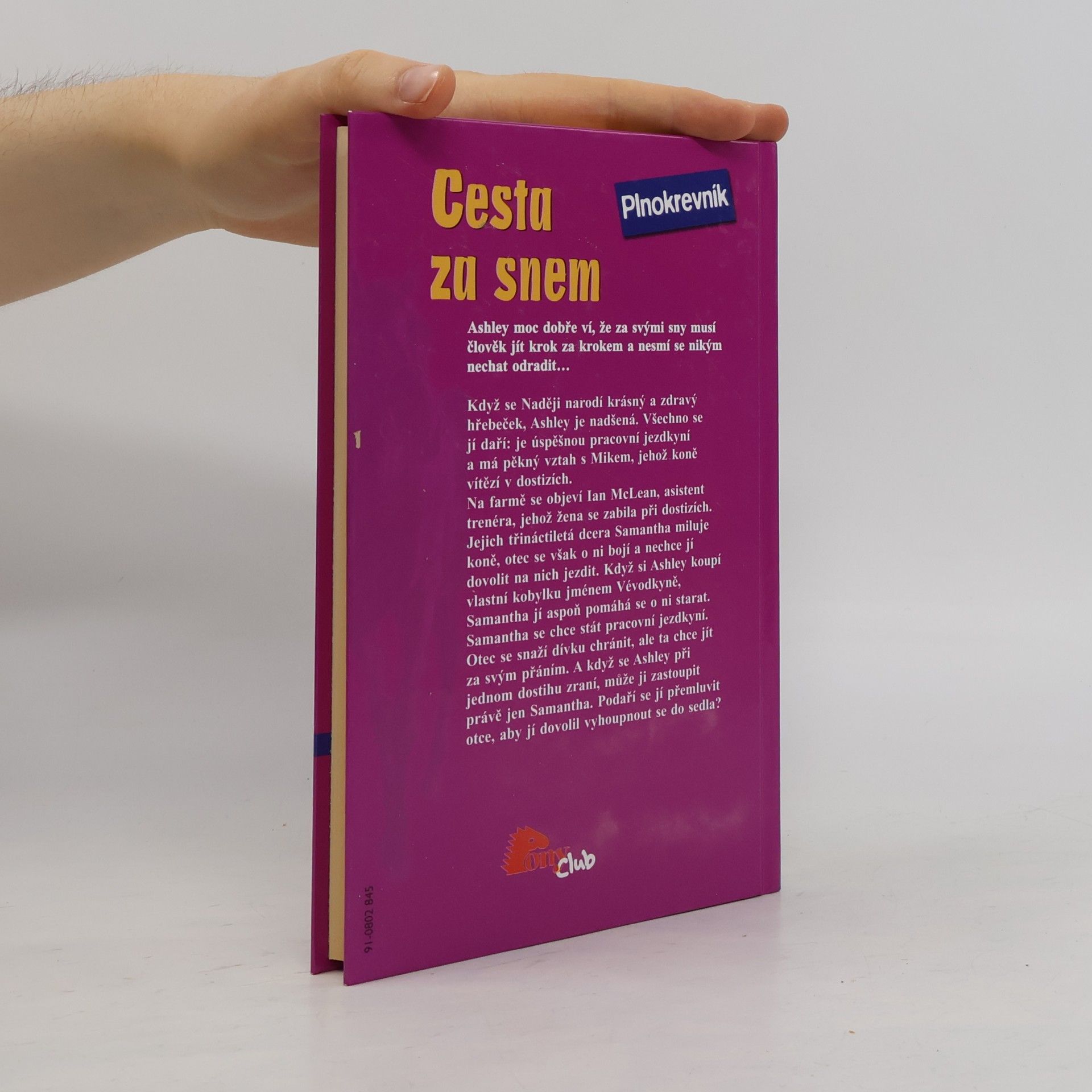 Joanna Campbell Cesta za snem