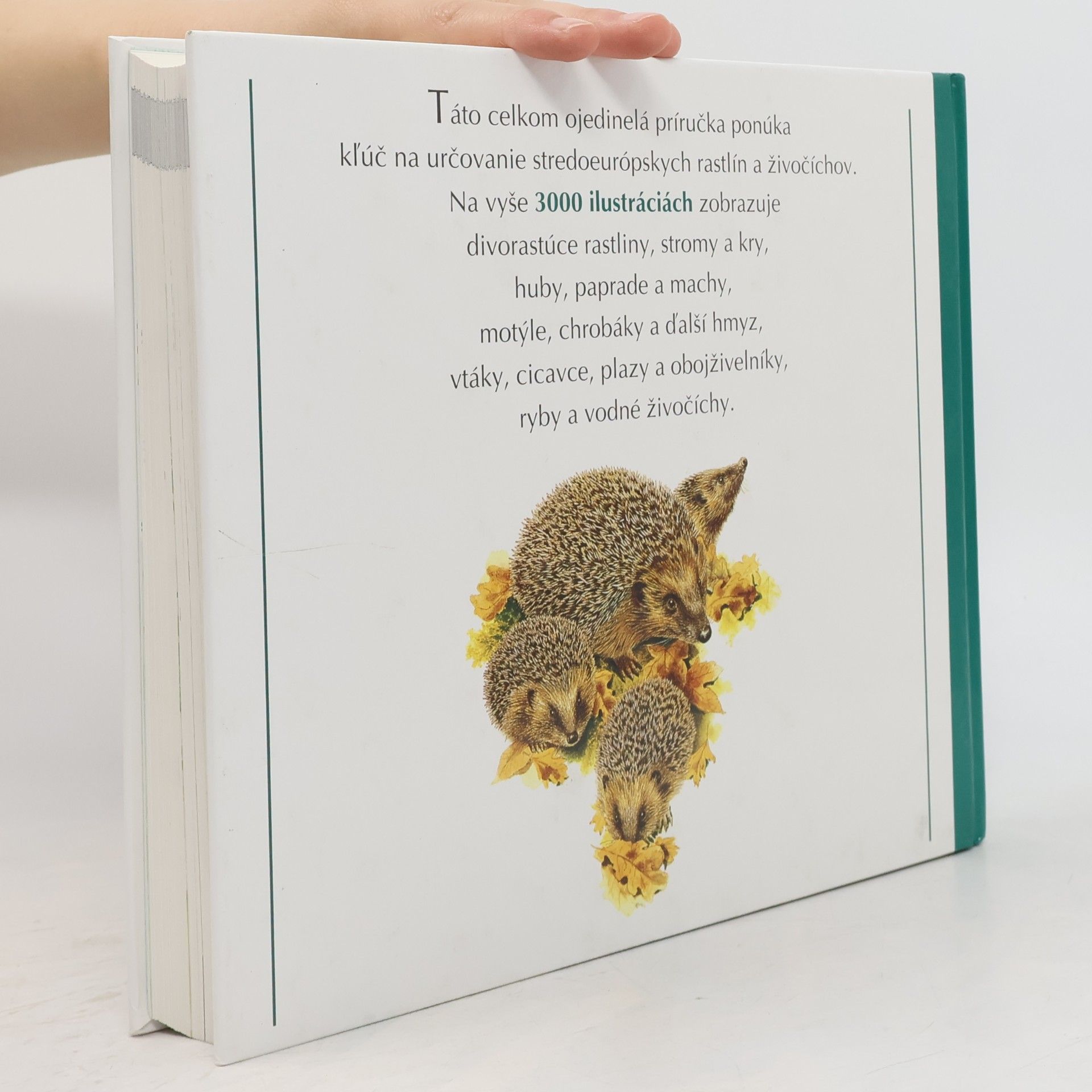 Autorenkollektiv Naša príroda