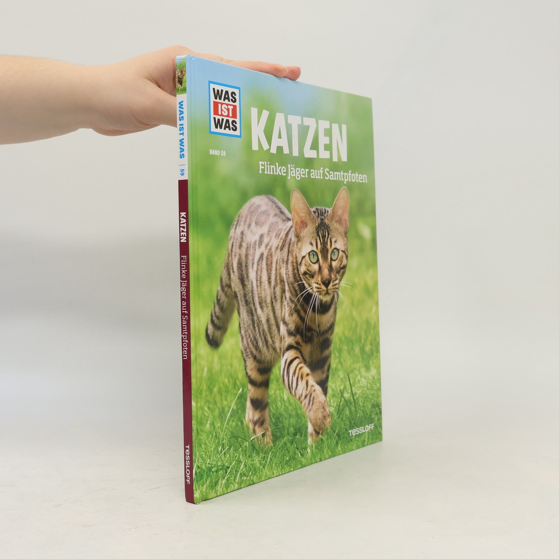 Jutta Aurahs Katzen