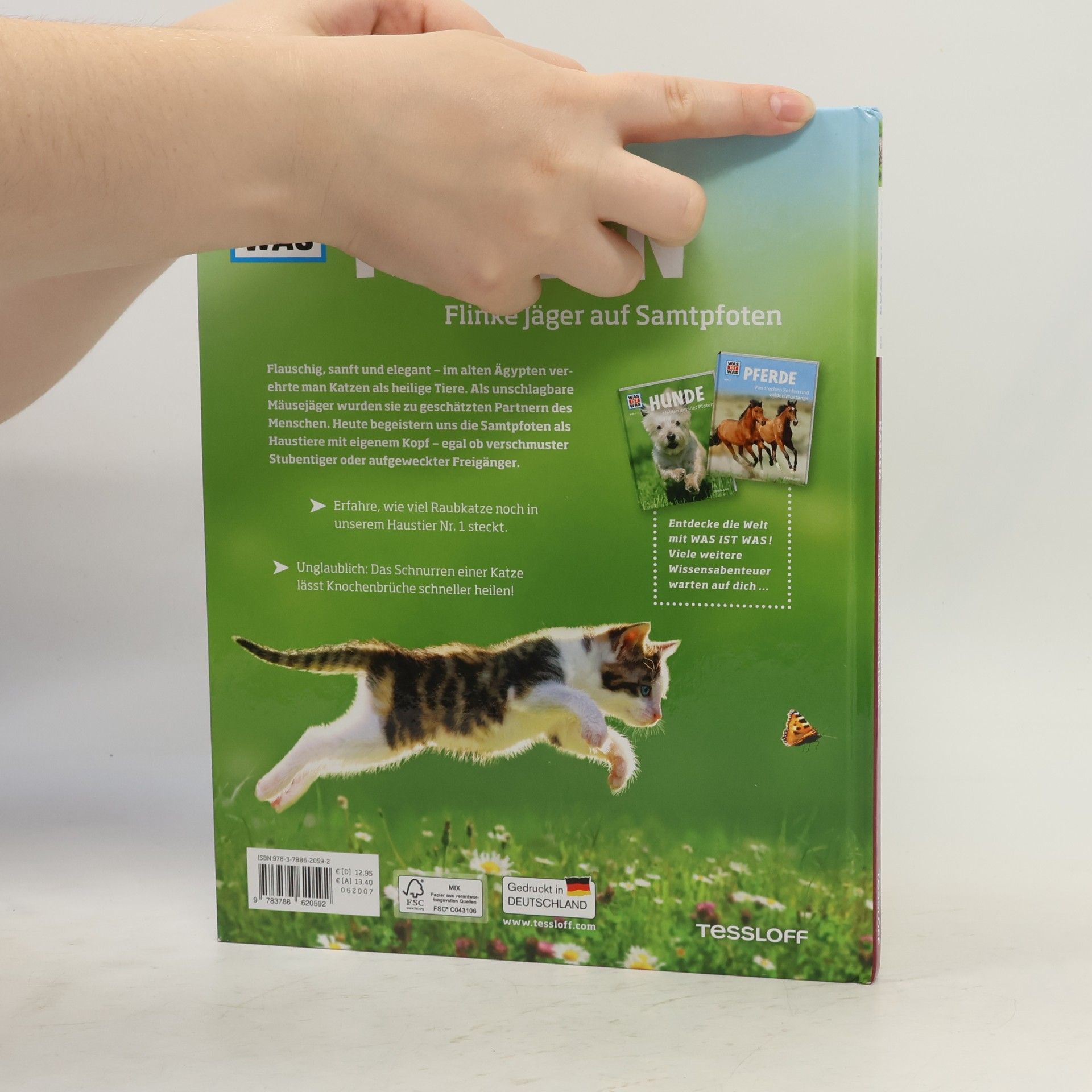 Jutta Aurahs Katzen