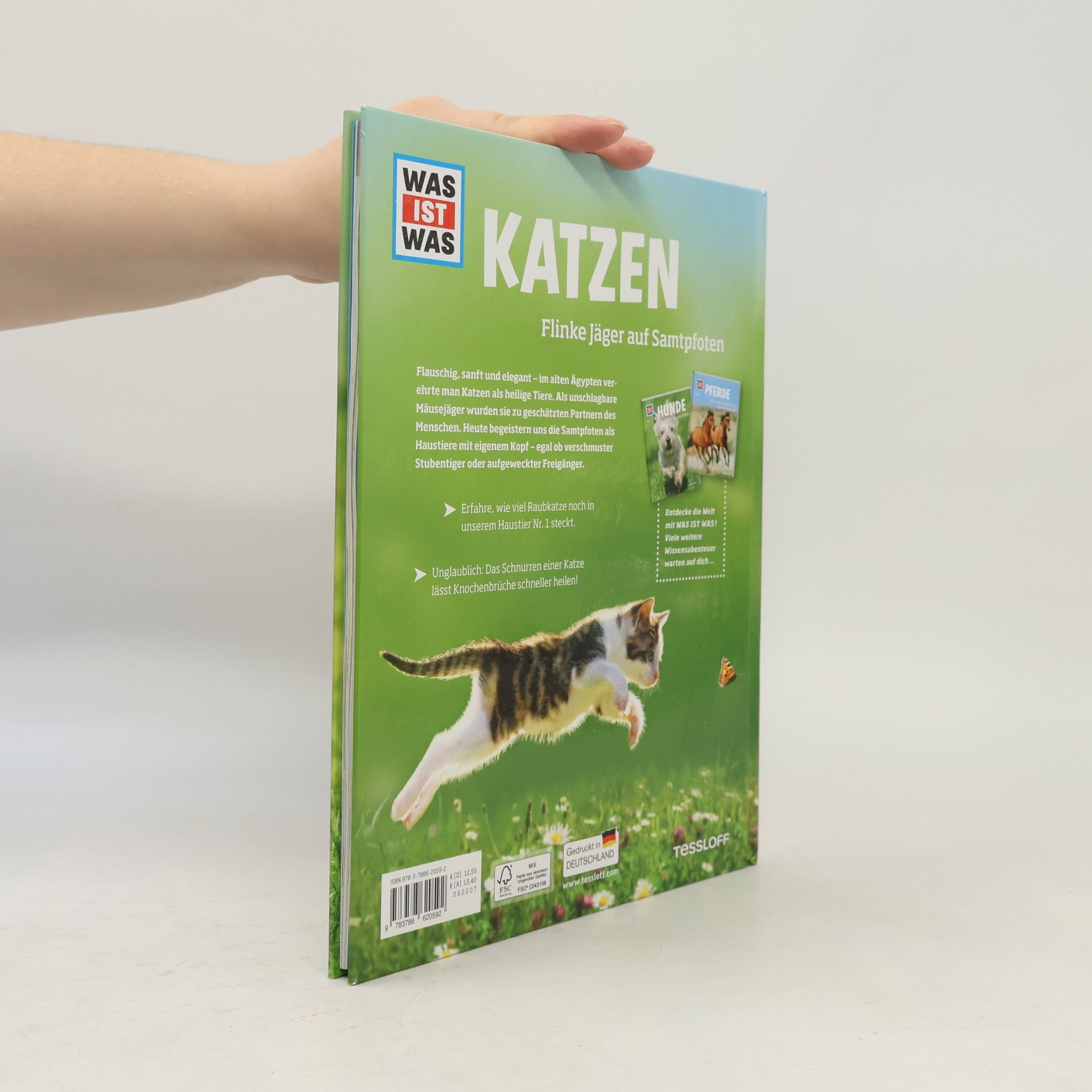 Jutta Aurahs Katzen